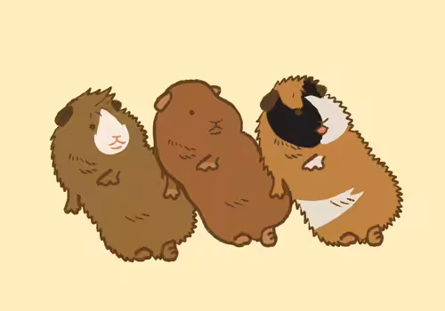 LATTE IS LATTE: LATTE LATTE And Friends