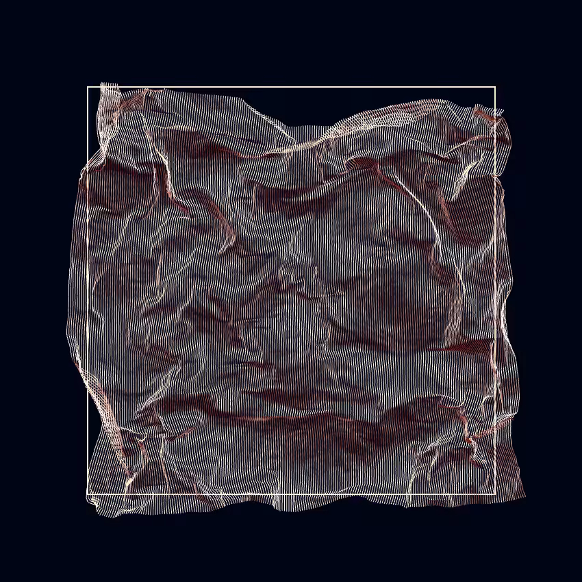 Fibril #37