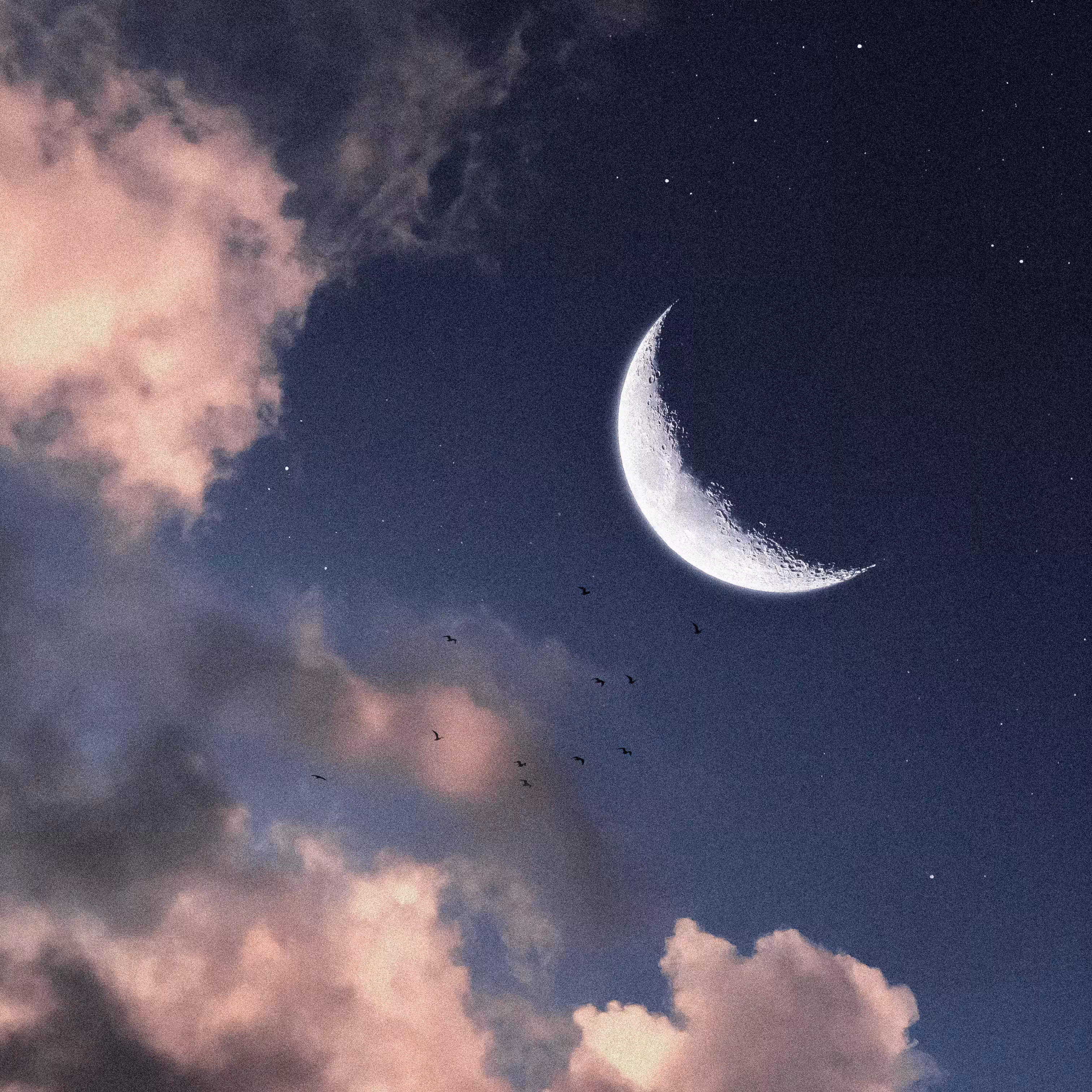 FLY ME TO THE MOON