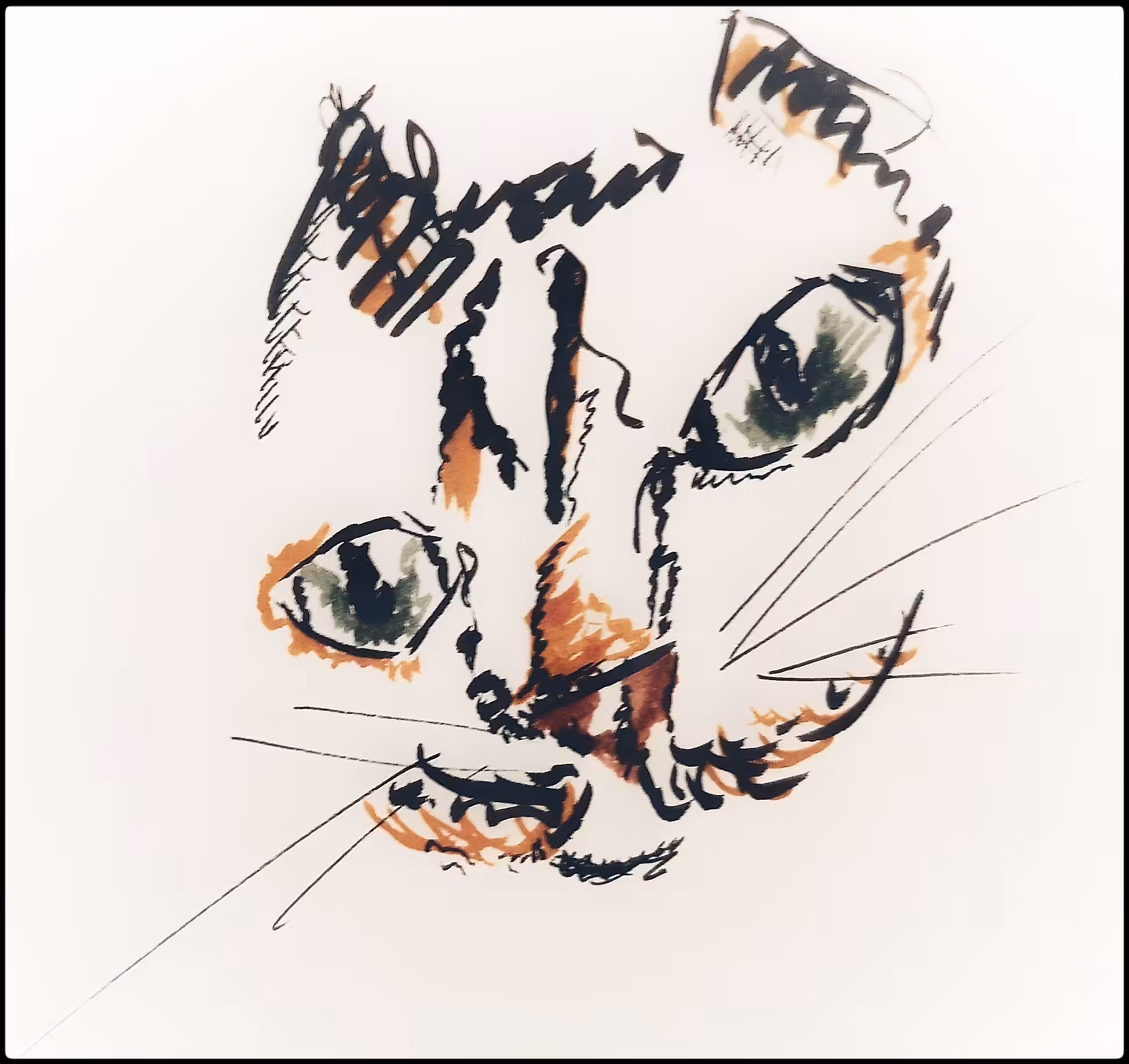 NFD Colorfull #1 - The one with the cat