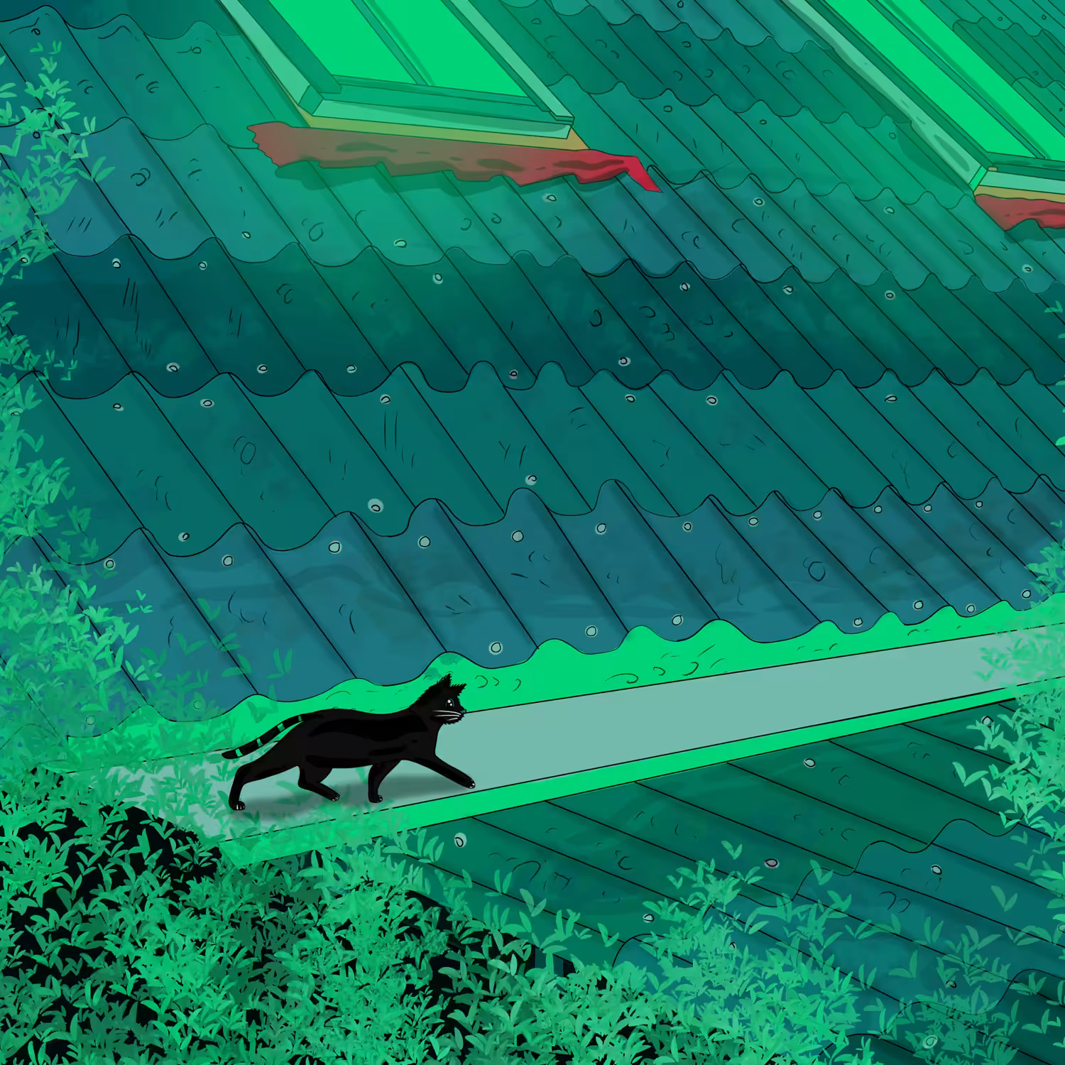 Blackcat!