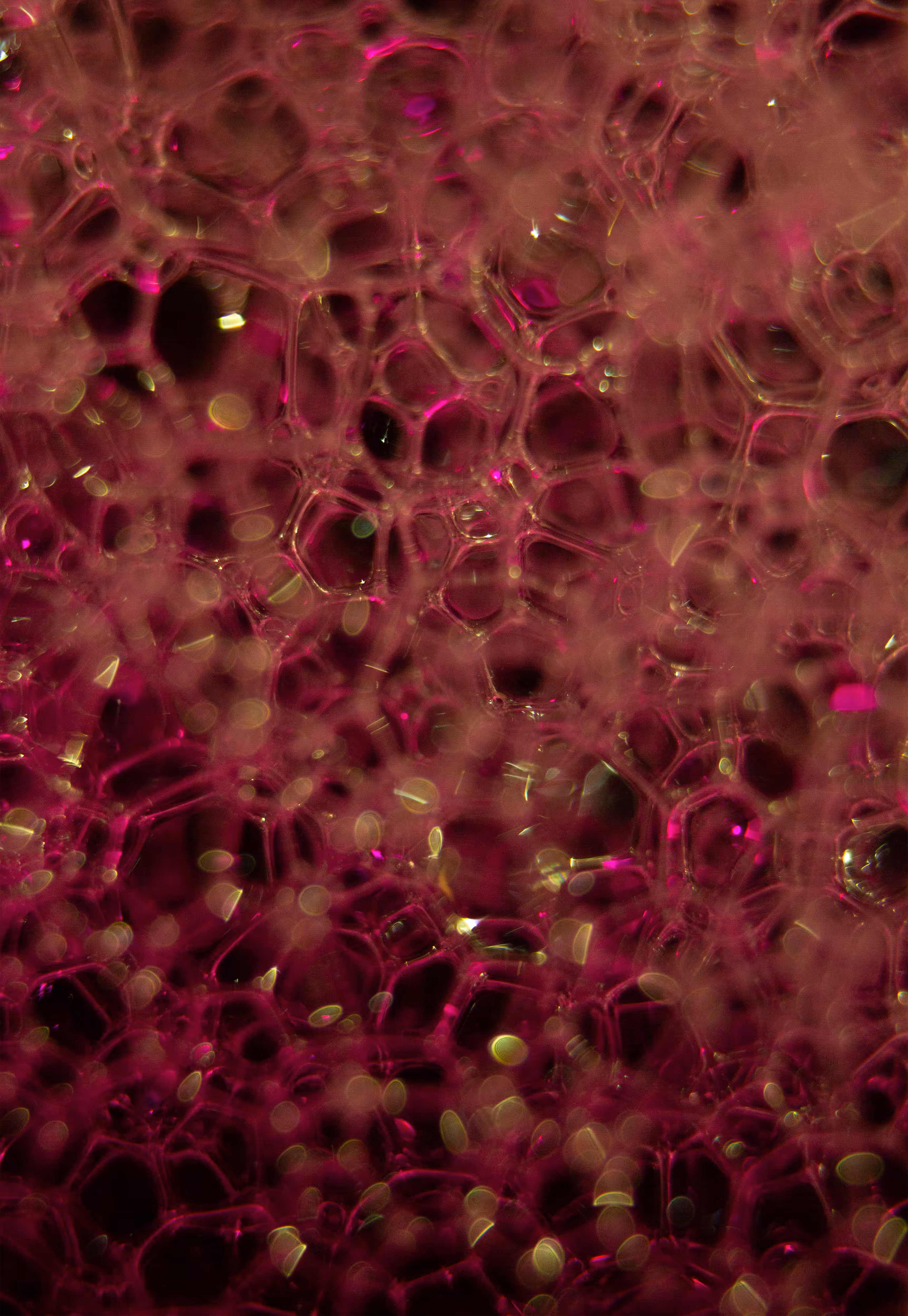 Abstract World of Soap Bubbles: #166 Bubbles