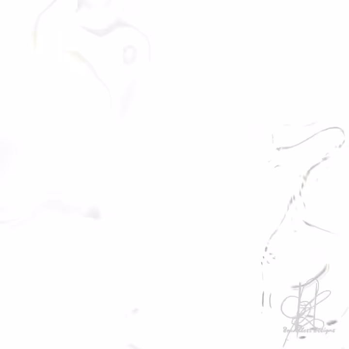 PURSUIT OF BEAUTY (VISUAL MOTION CONCEPT) SIGNED