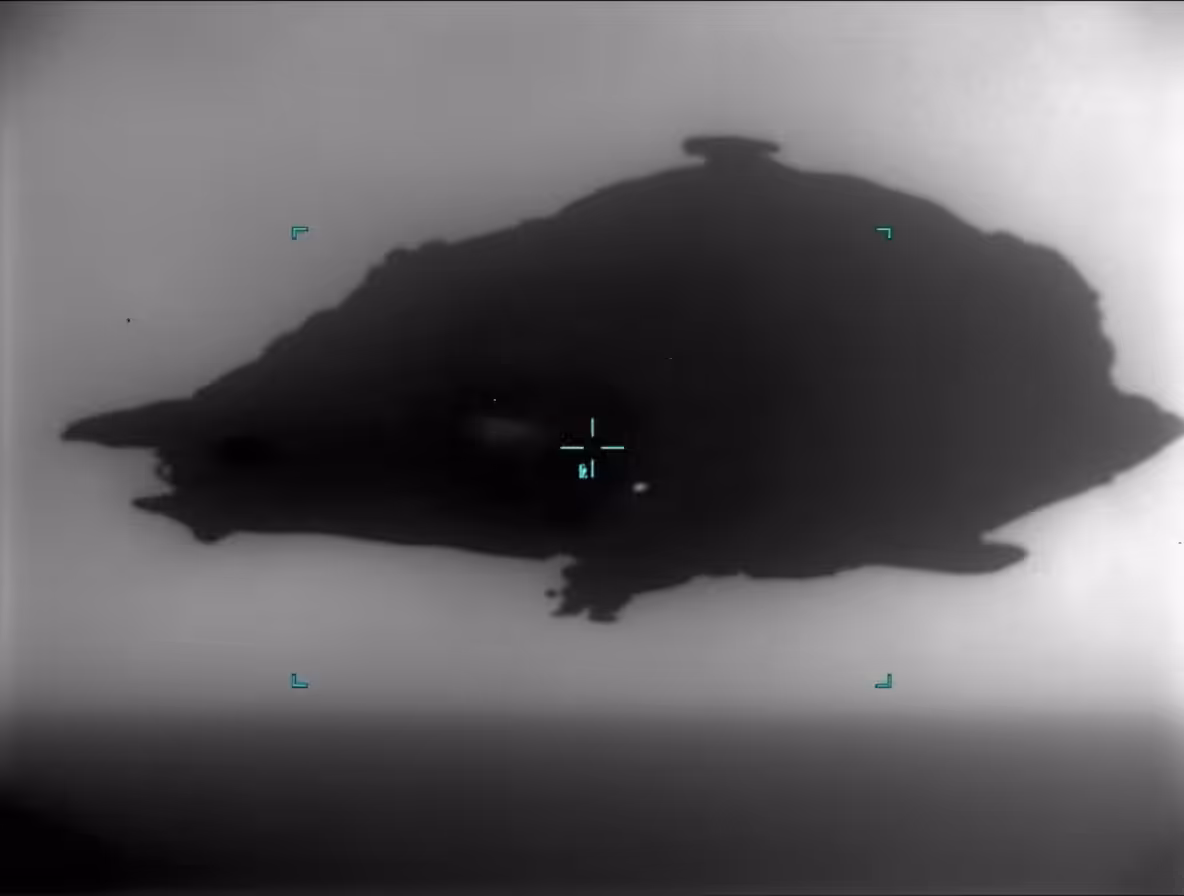 Unidentified Anomalous Phenomena: UAP_0114