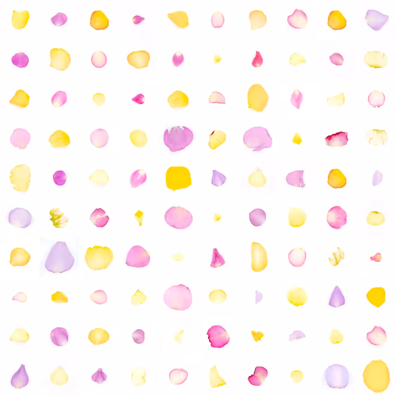 Infinite Petals 10x10#1670
