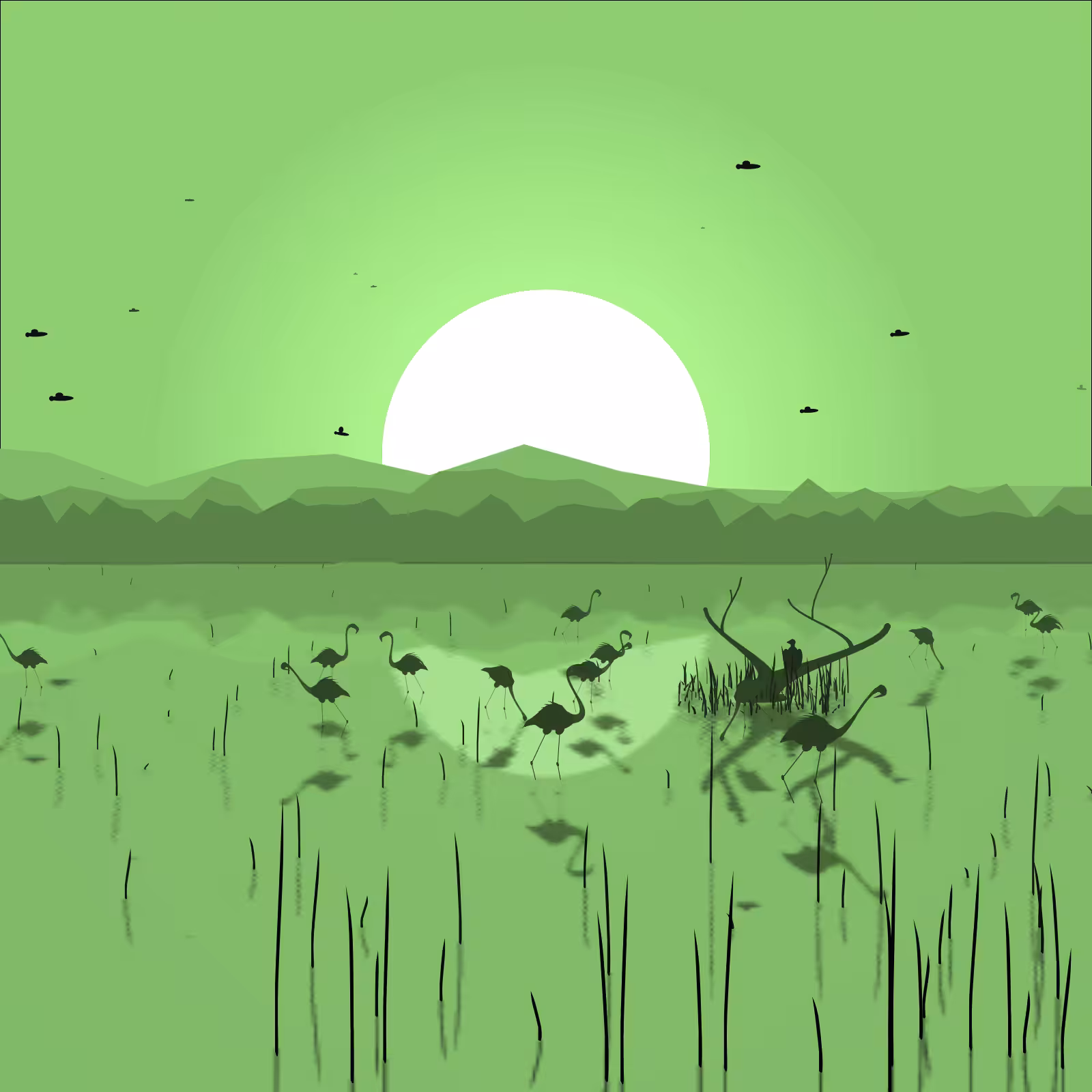 Flamingo Delta #31