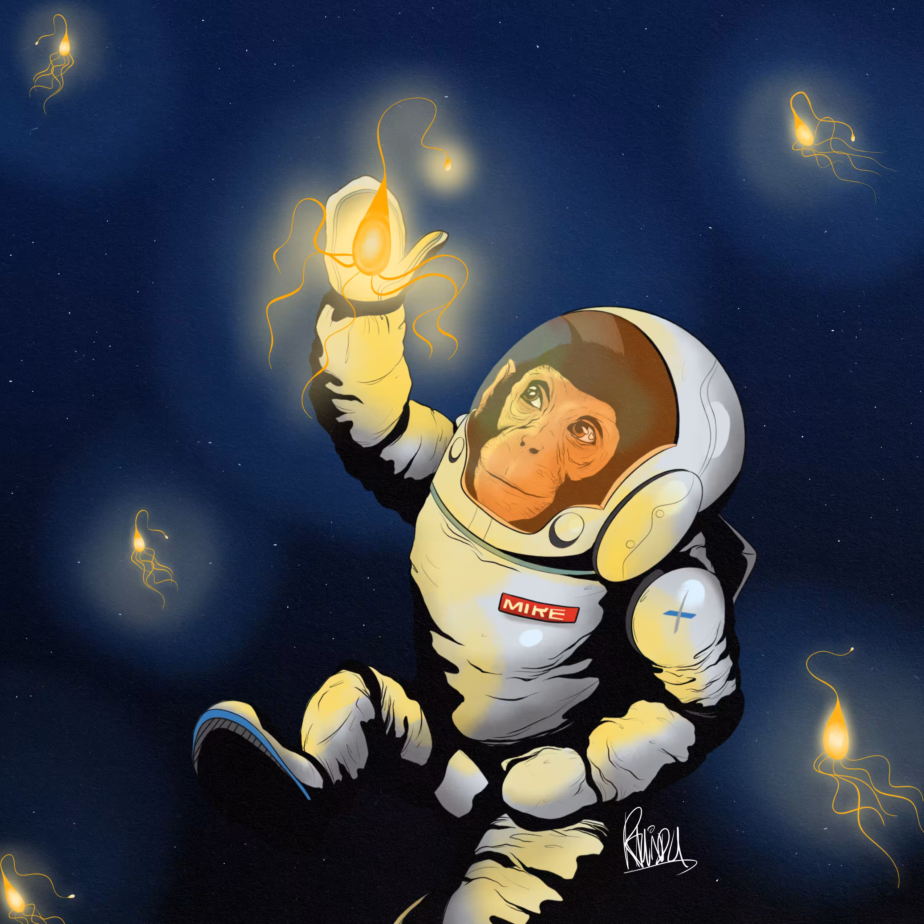 SPACE APE