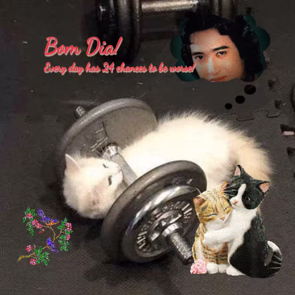 Bom Dia #27