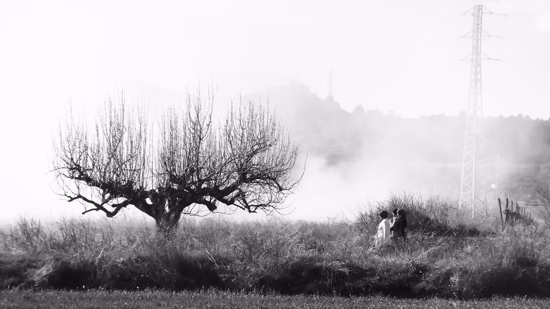 THE MOST DRAWN TREE by Dad 