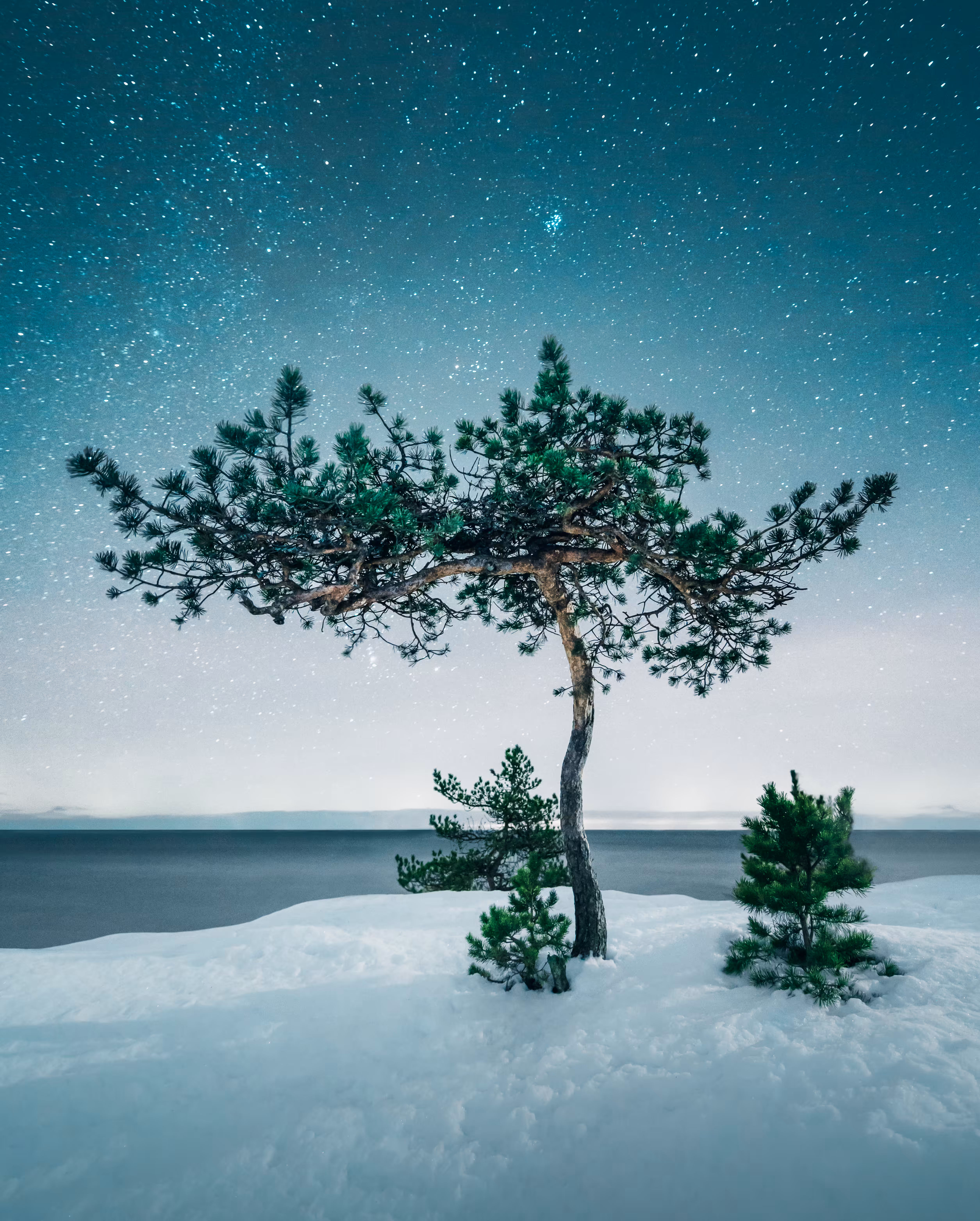 Serenity