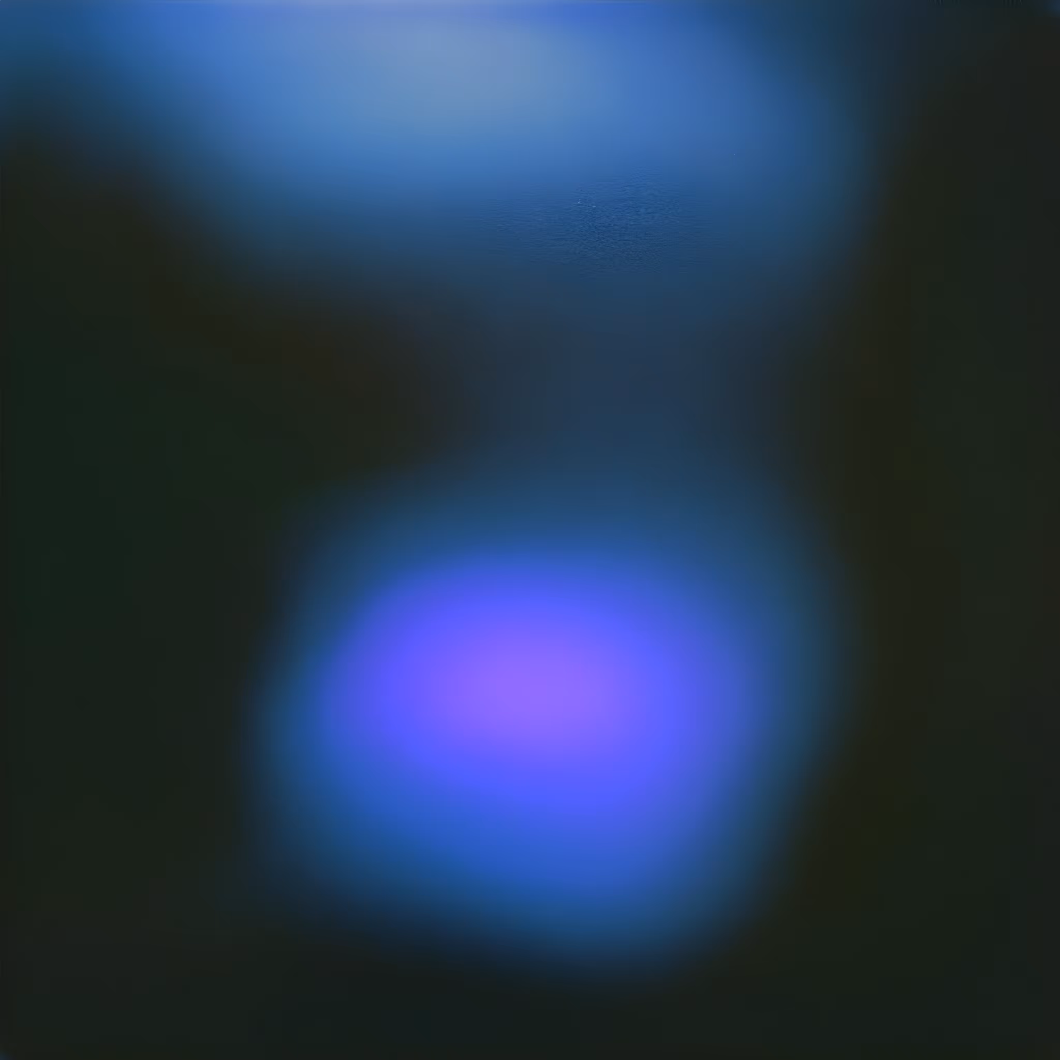 S009