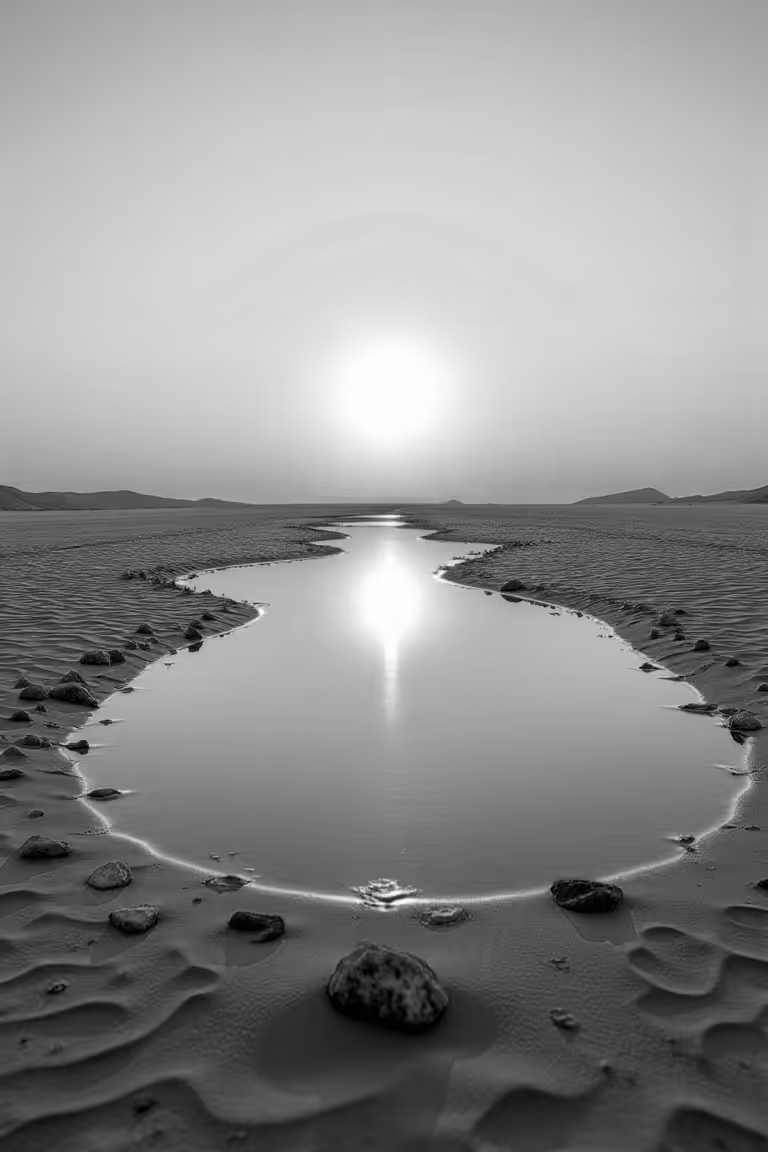 Eternal Reflection