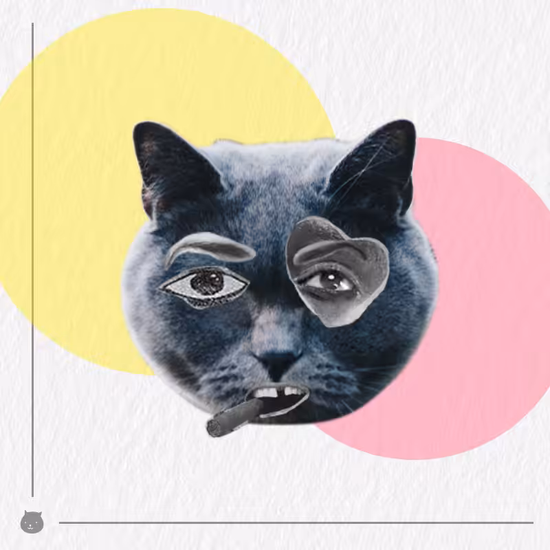 Kittenstein #33