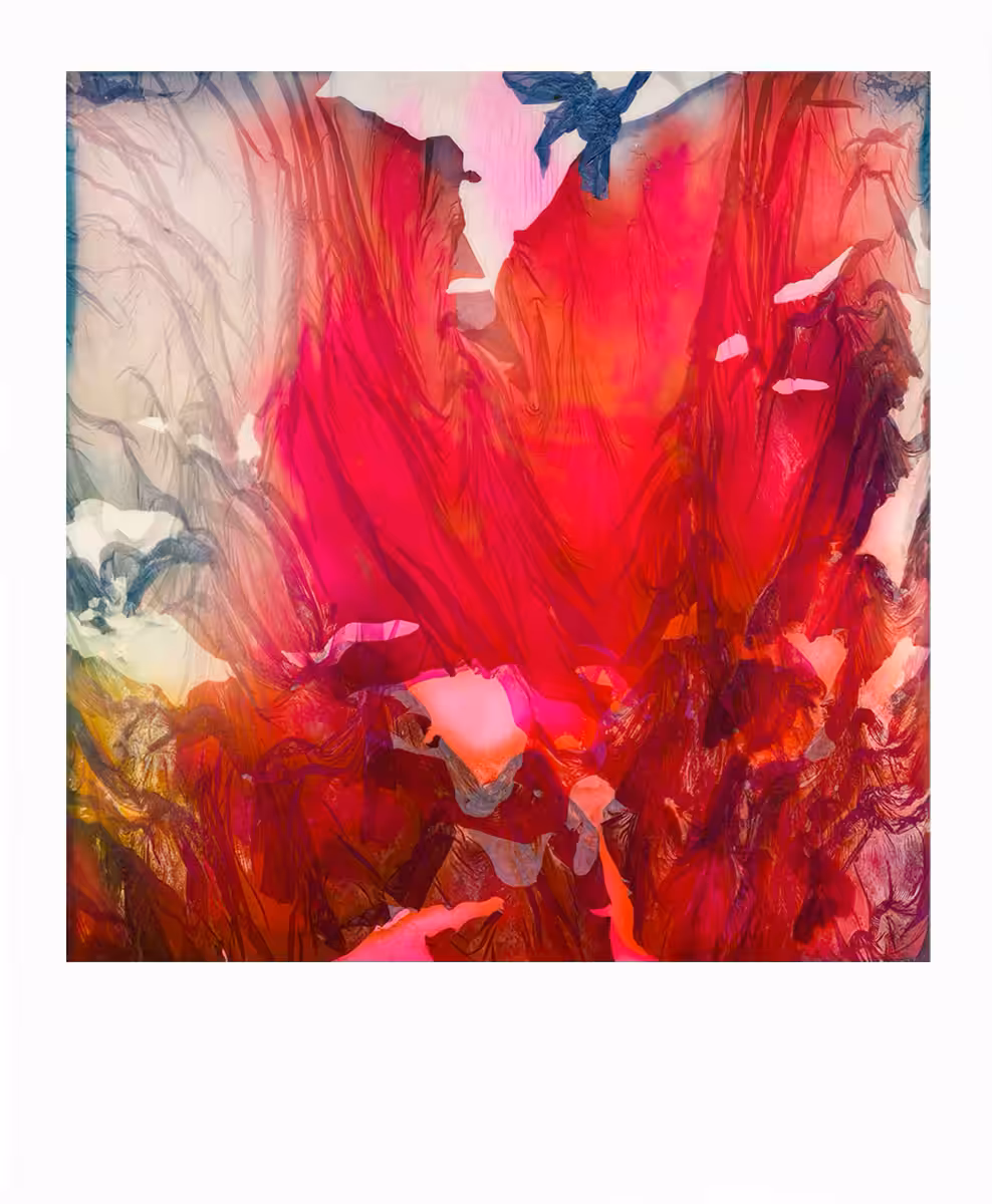 Mutilated Polaroids