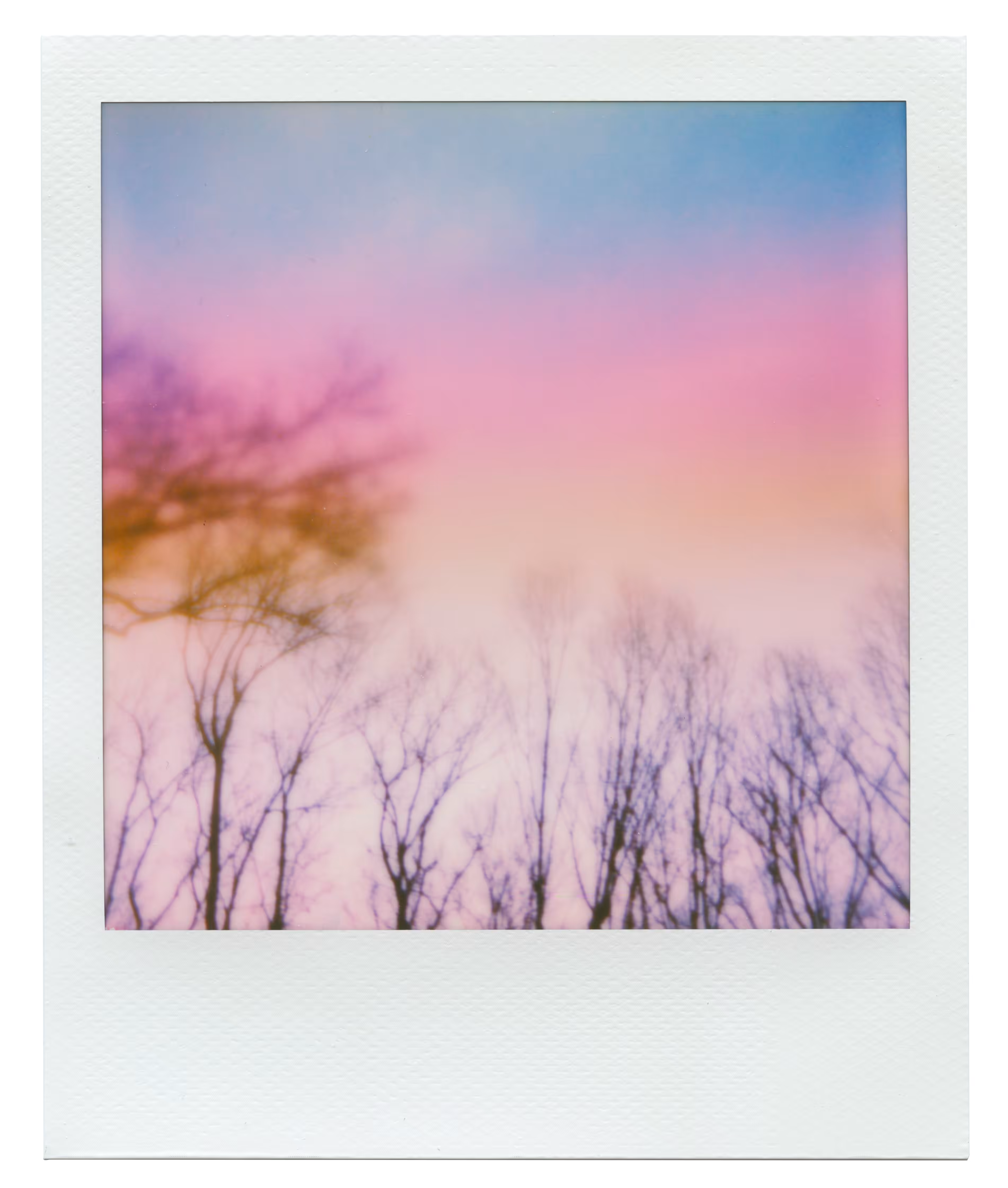 Manifestation