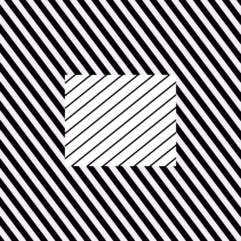 Chromatic dazzle #76