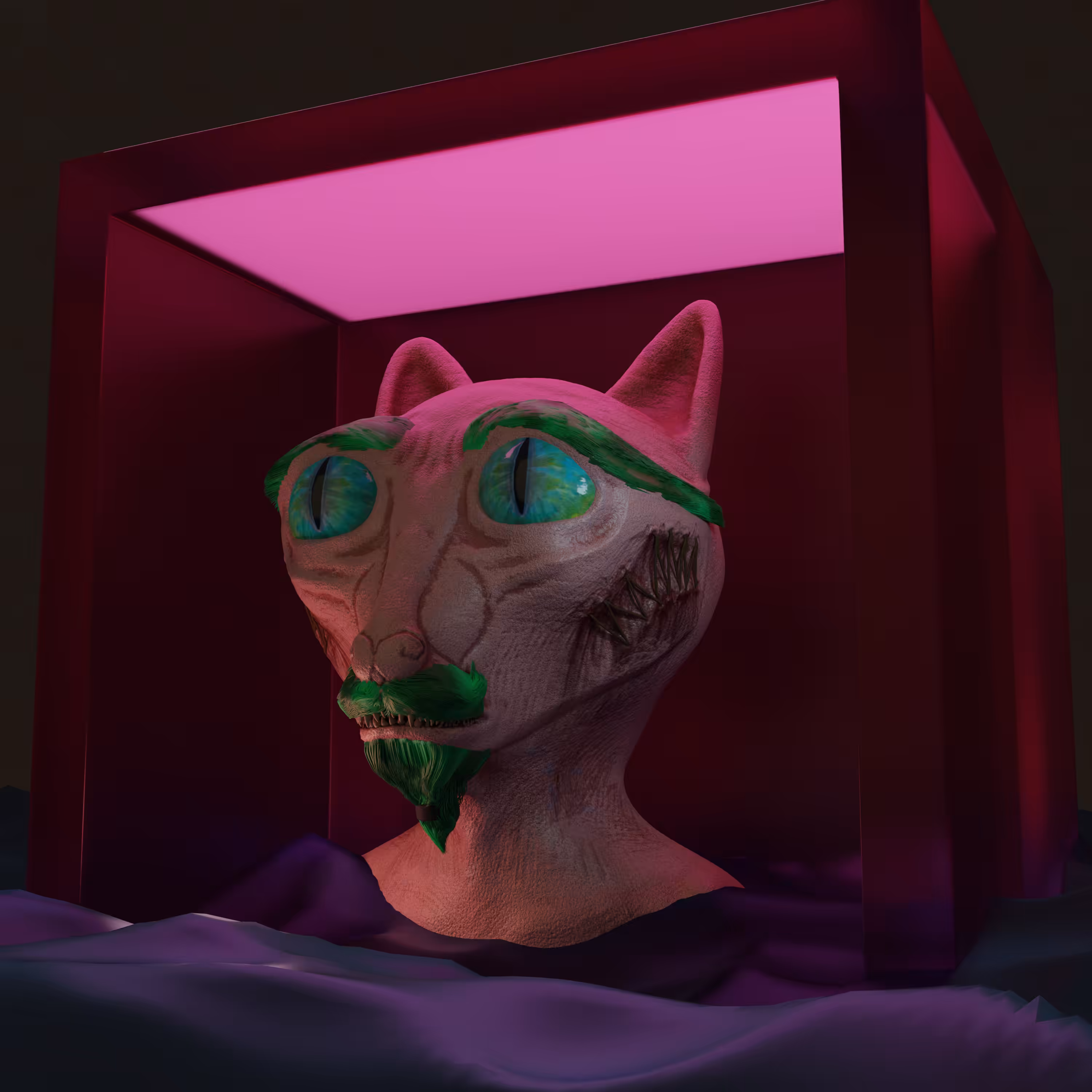 Cat P #2