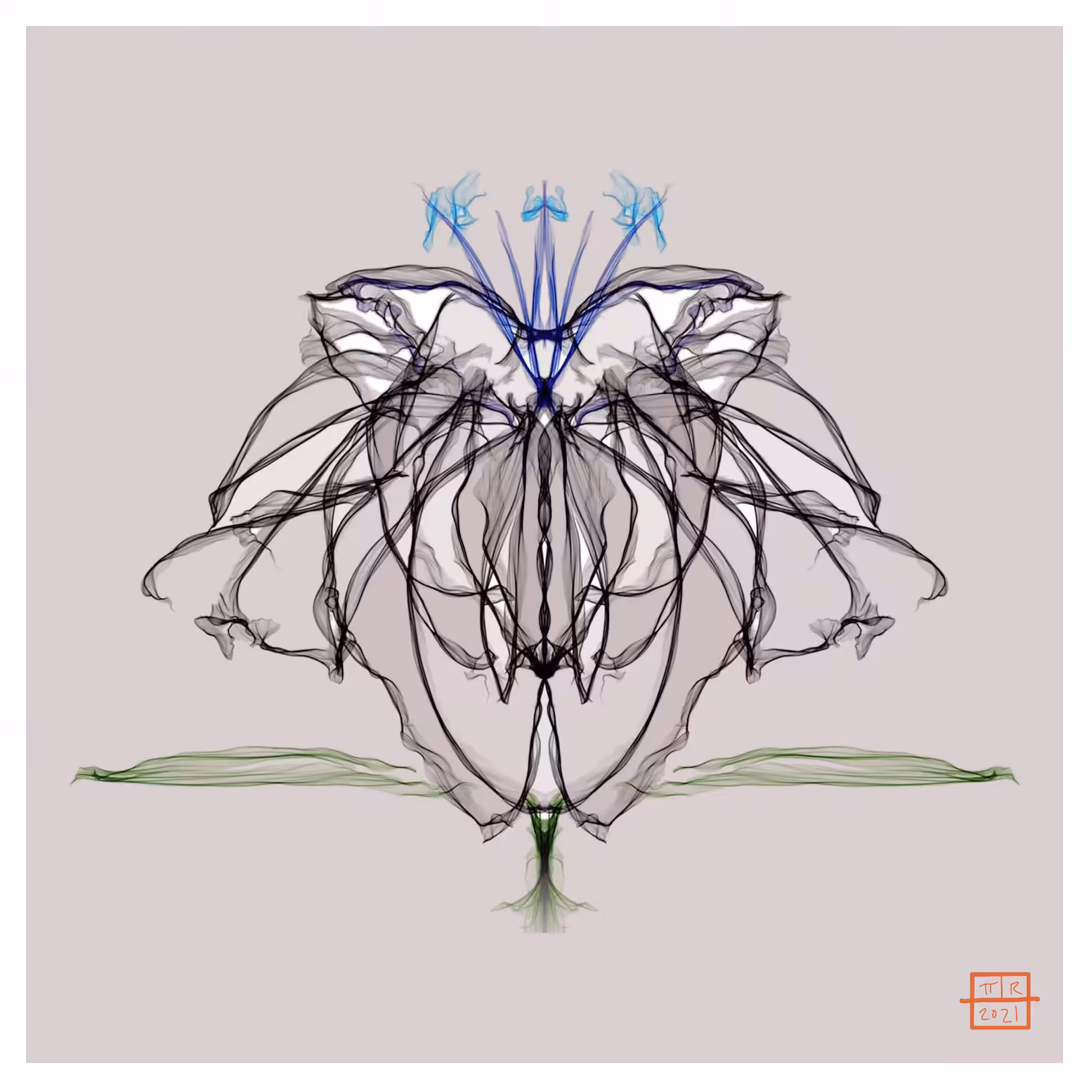 Black Iris