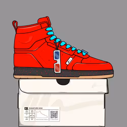 Signature Sneakers Highs #717