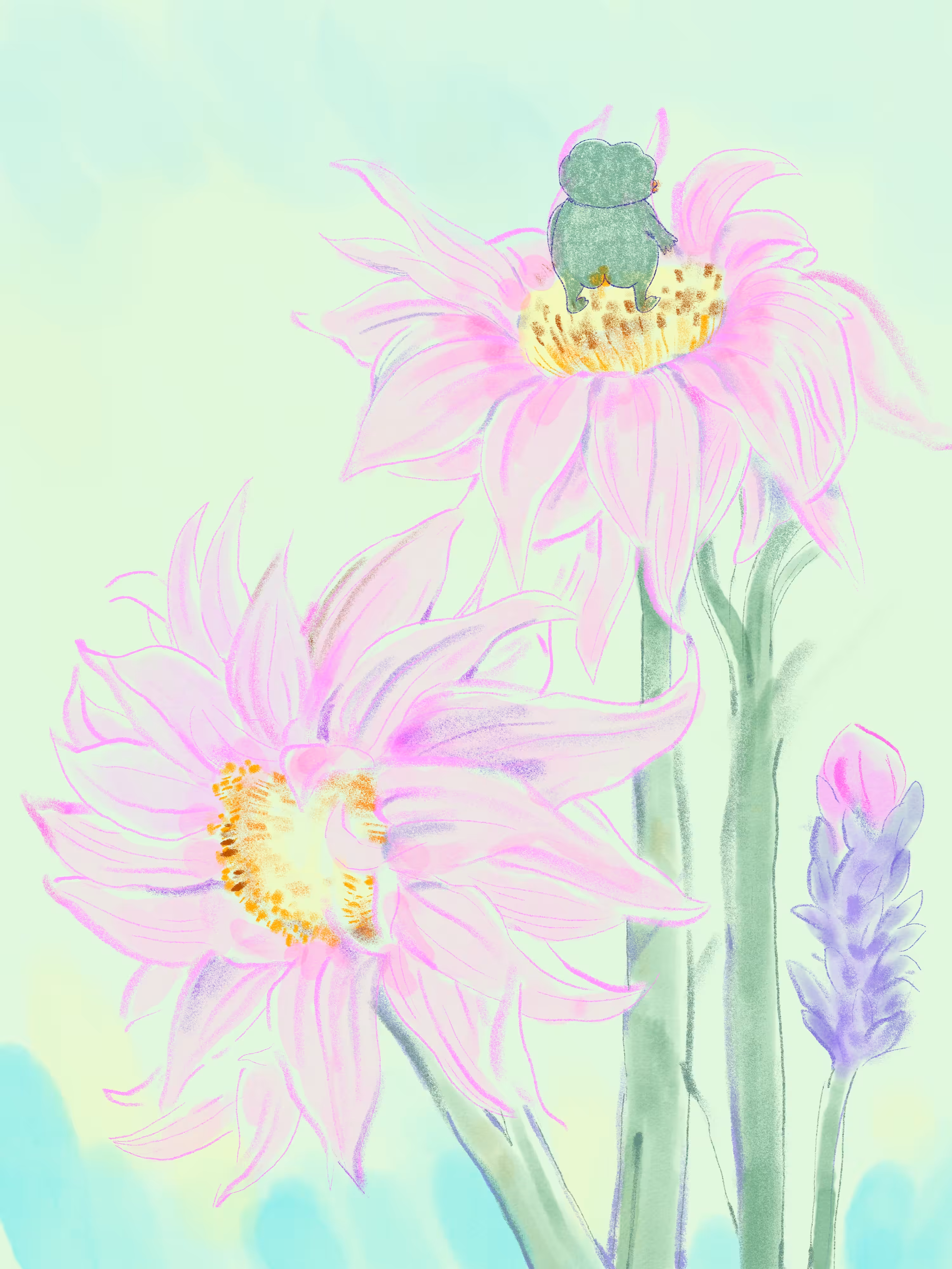 PEPE PINK FLOWER 03