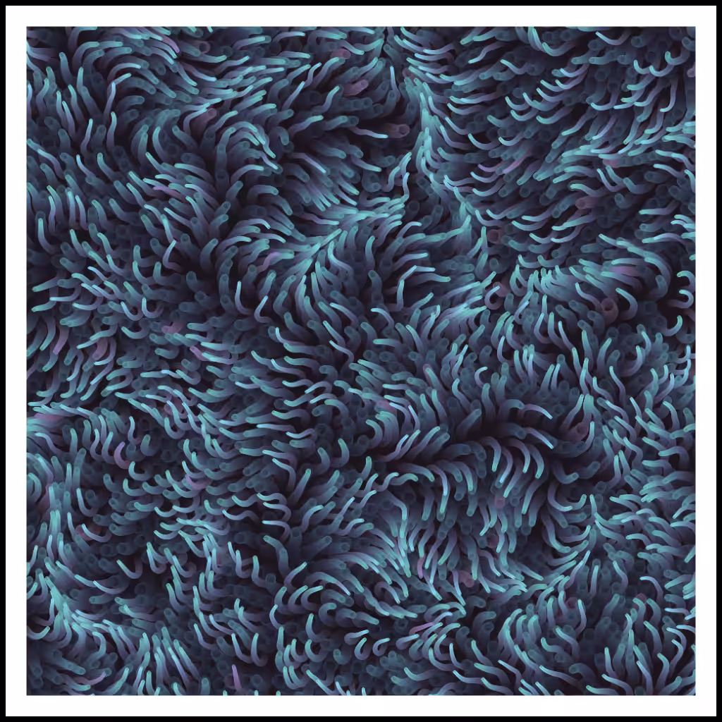 Studies of Motion  #3