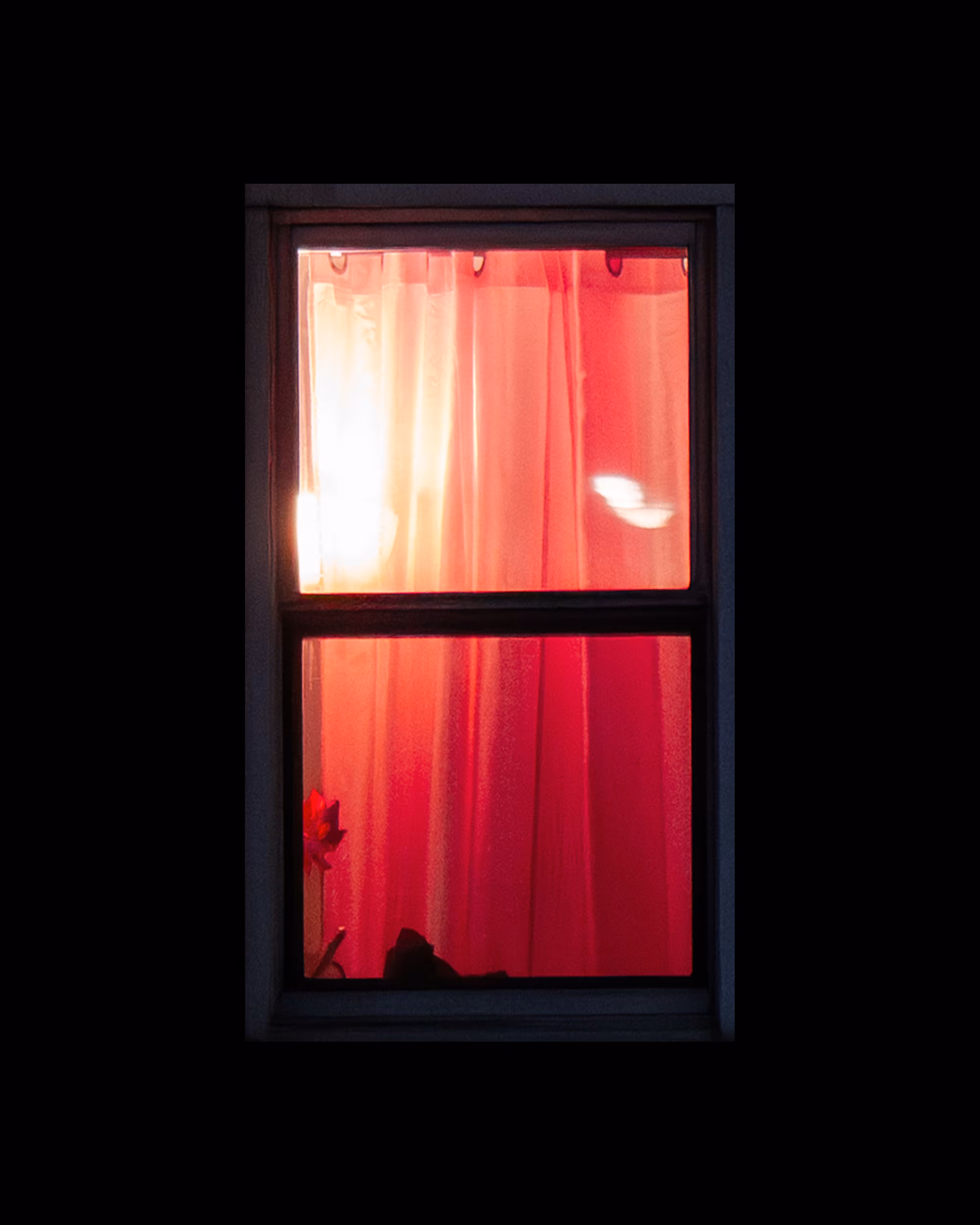 WINDOWS // NYC: WINDOW 421