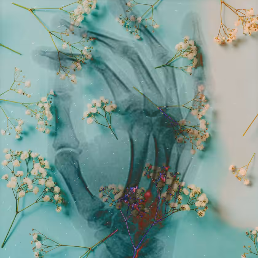 flowers and death #6