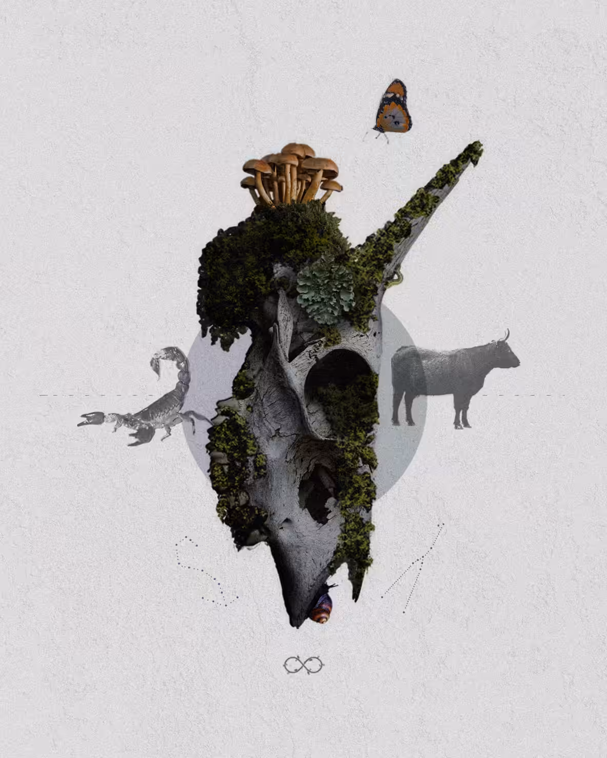 Taurus-Scorpio