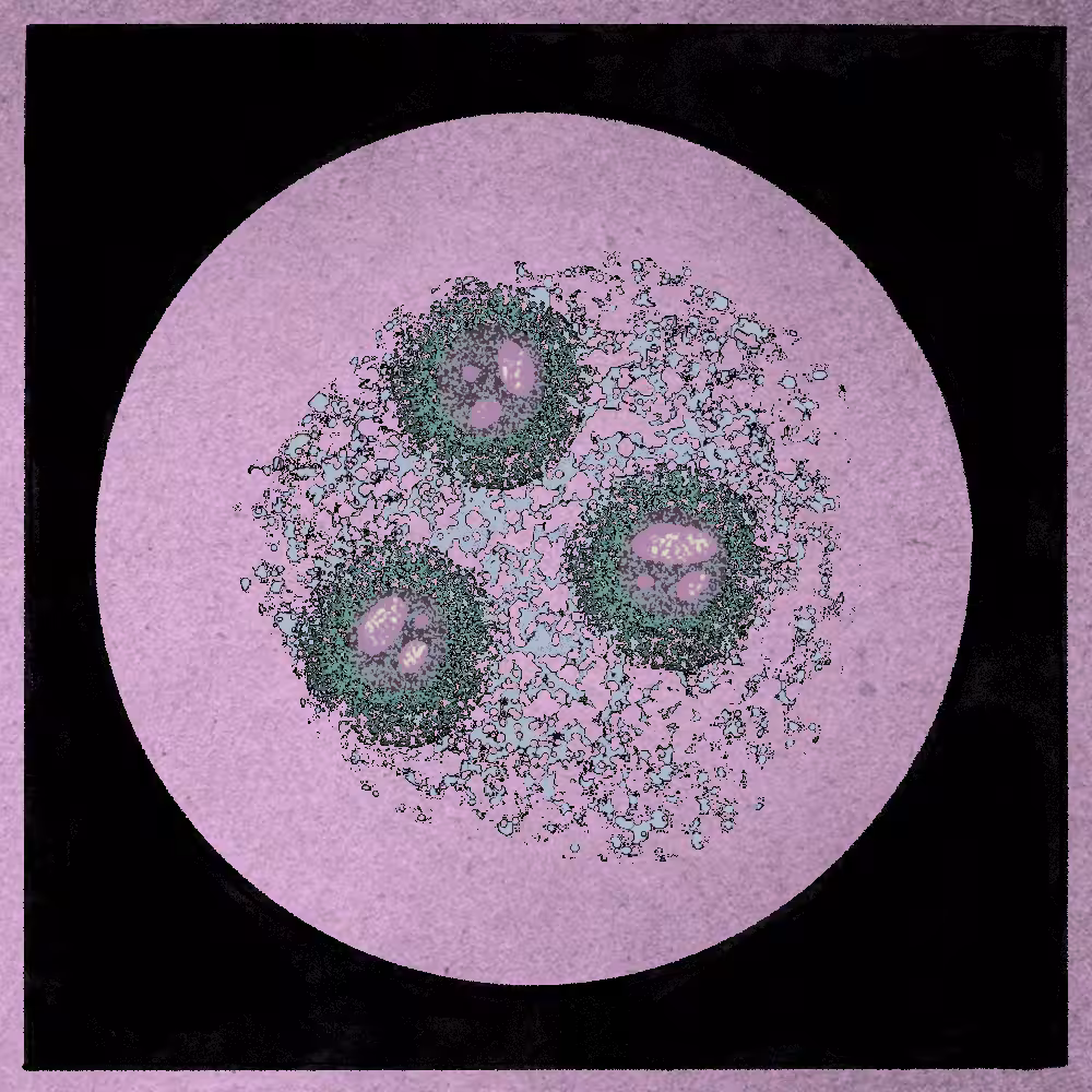 Microbes #163