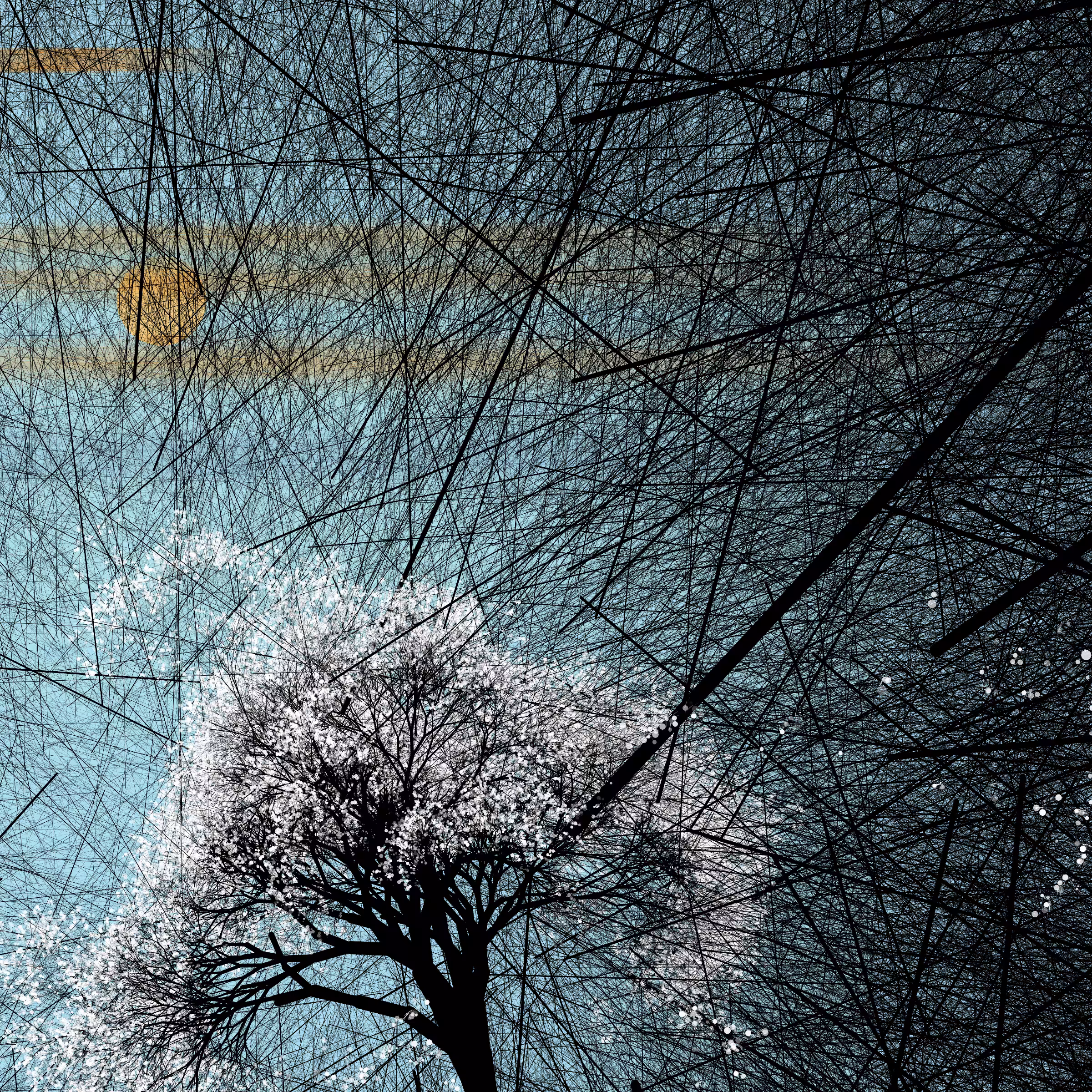 conversation with the wind #666