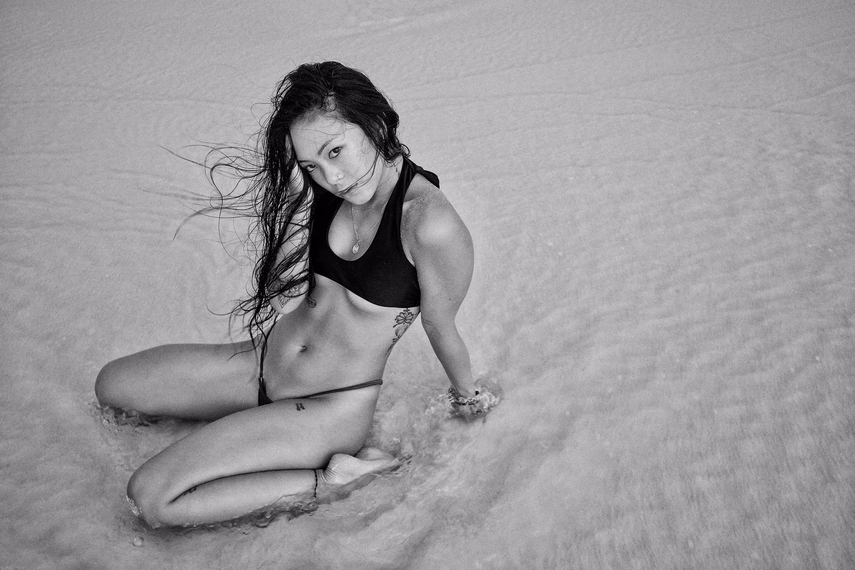 Cat at the Beach #2