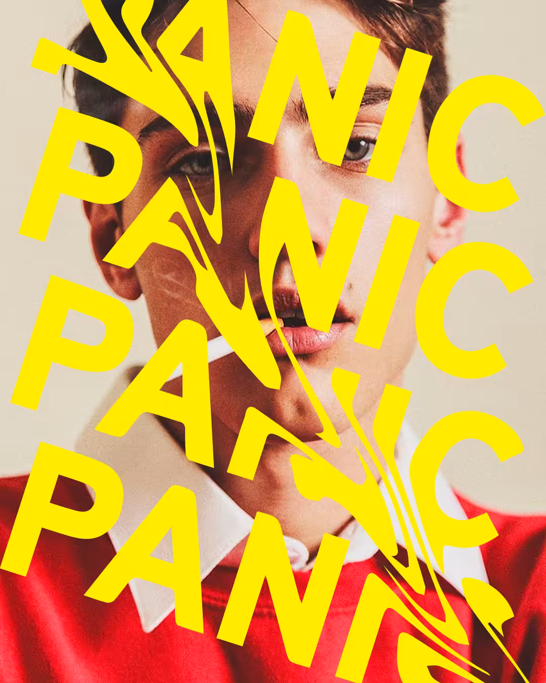 p a n i c