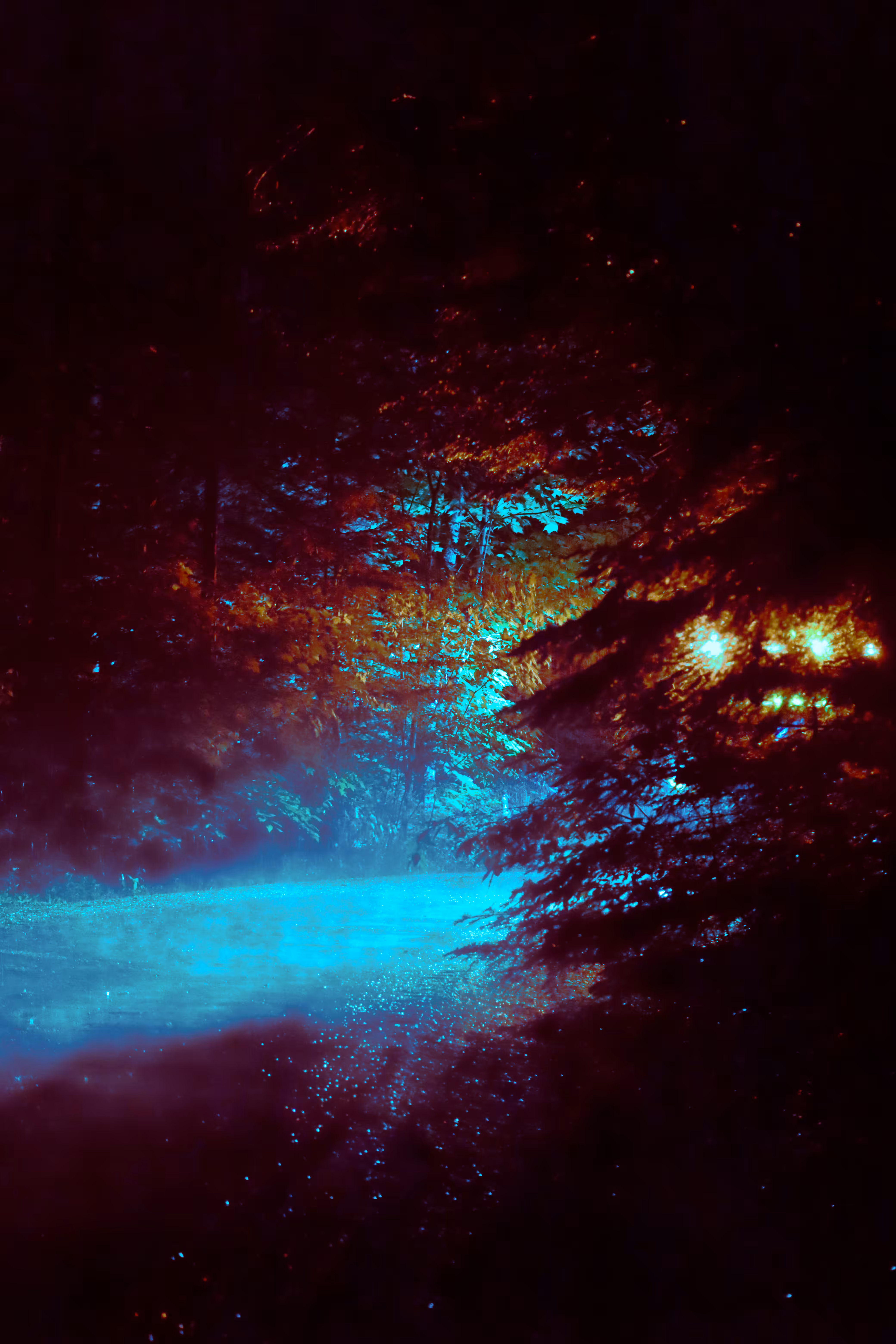 Lighting/Night