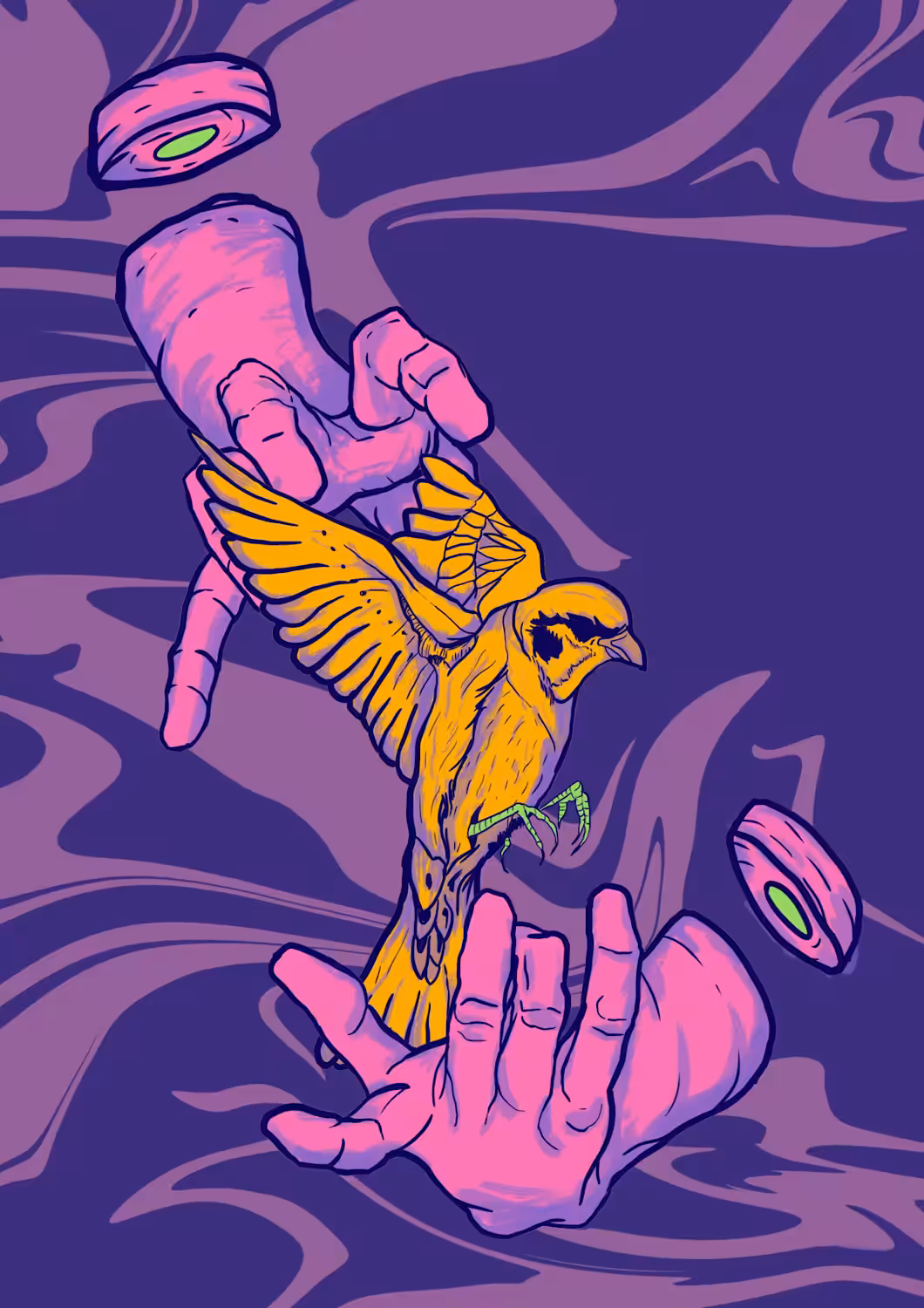 Chase The Pipit