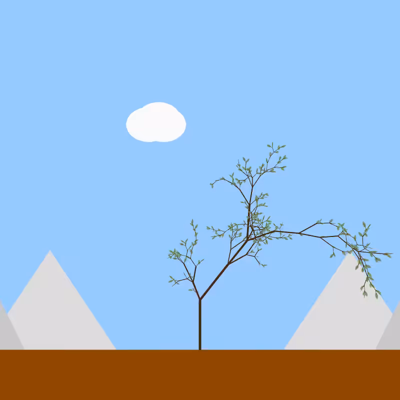 From seedling to tree #35