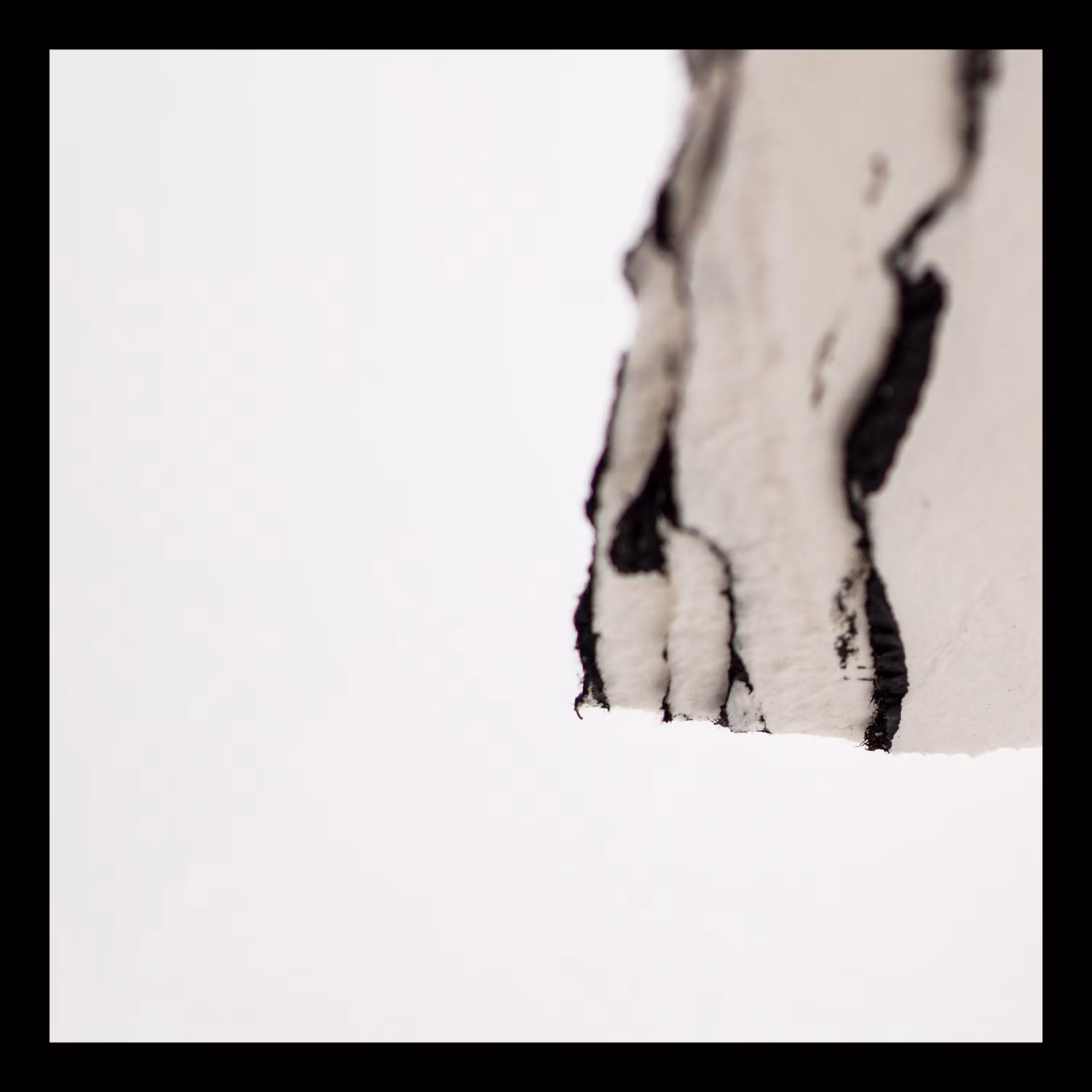 "All we have is now"⁠