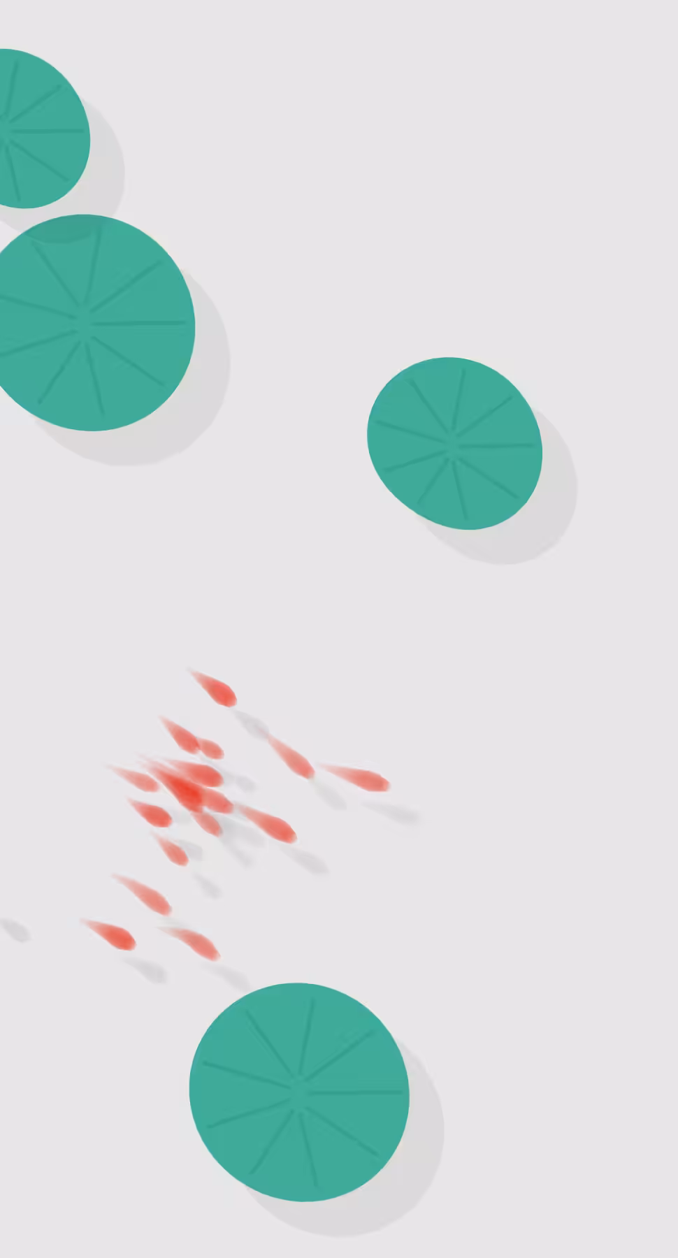 Fish playing among lotus leaves #7
