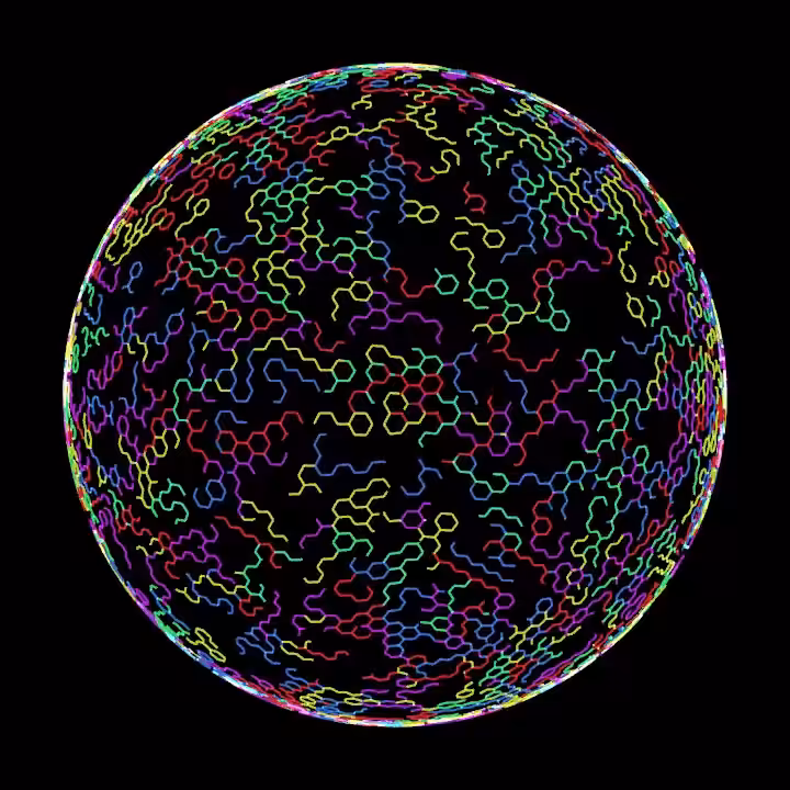DoodleDeProgramming_20221211
