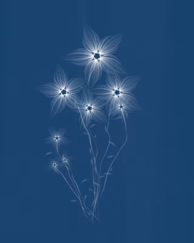 Cyanotypes #220