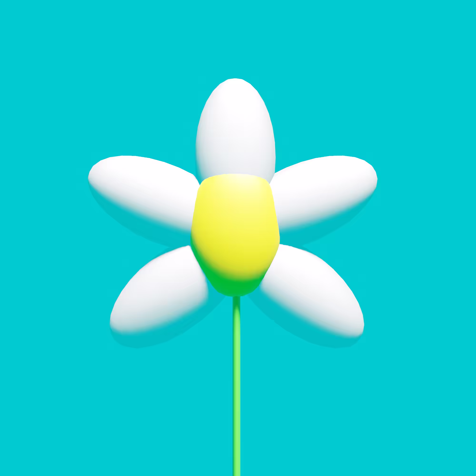 White flower