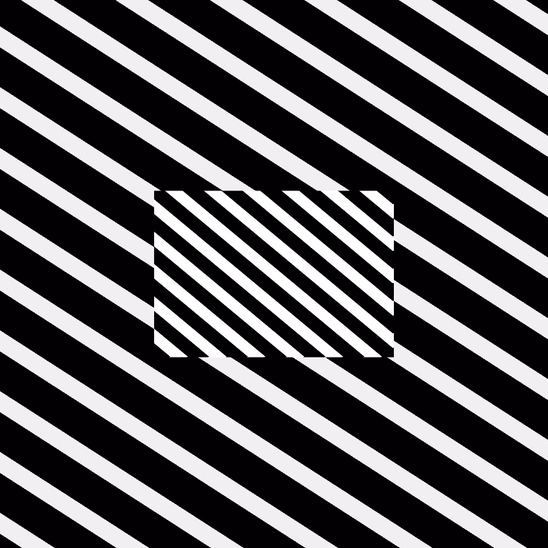 Chromatic dazzle #342