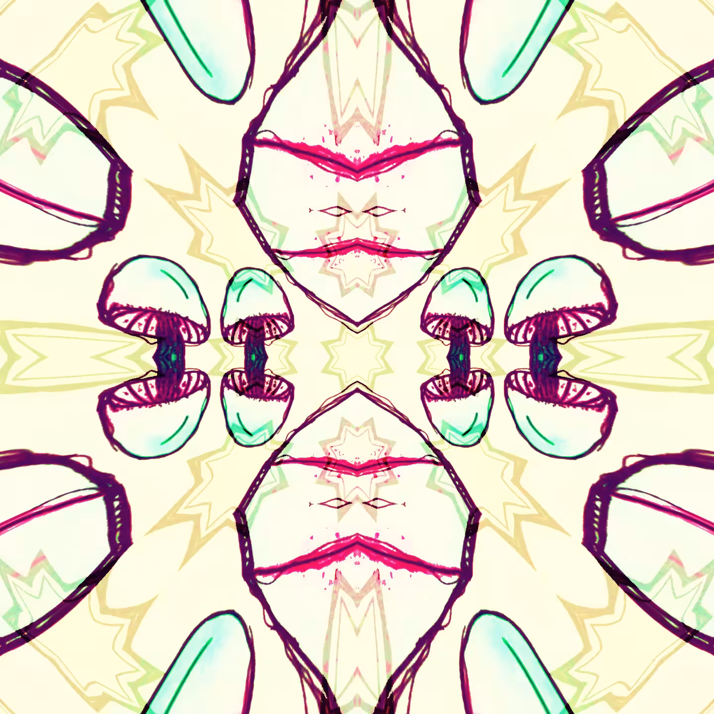 MUSHROOM KALEIDOSCOPE 01
