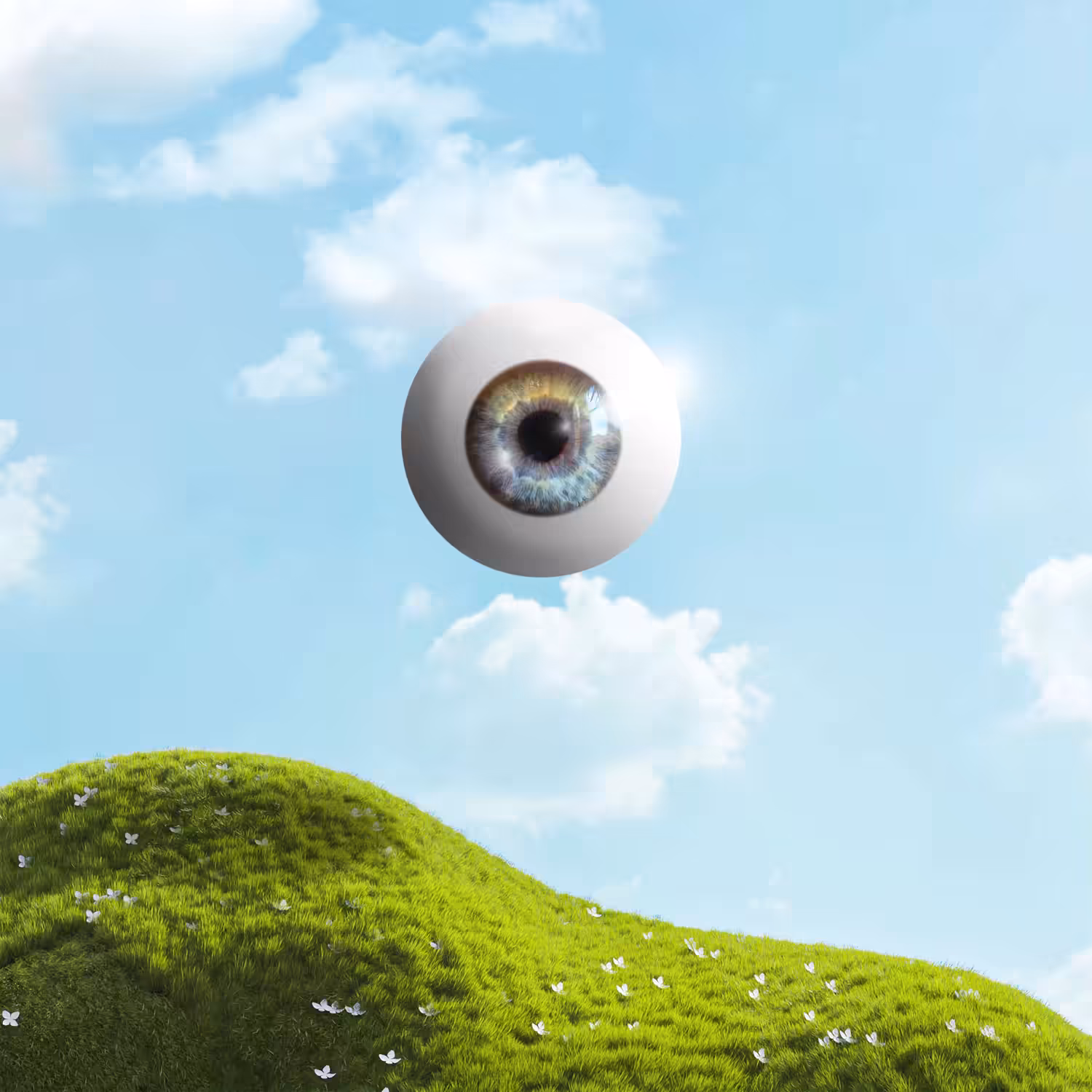 Eye Meadow