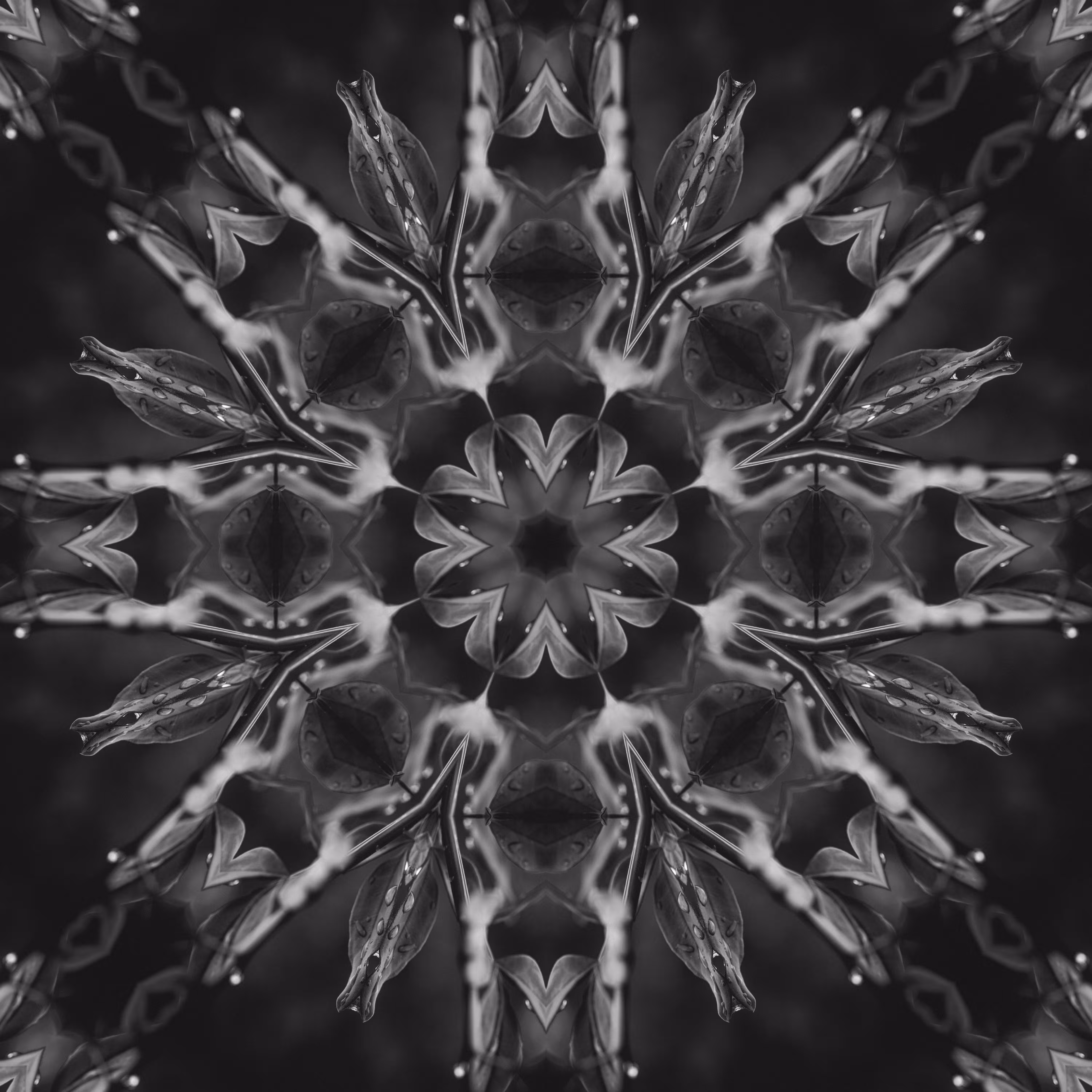 Subject One - Observation Four