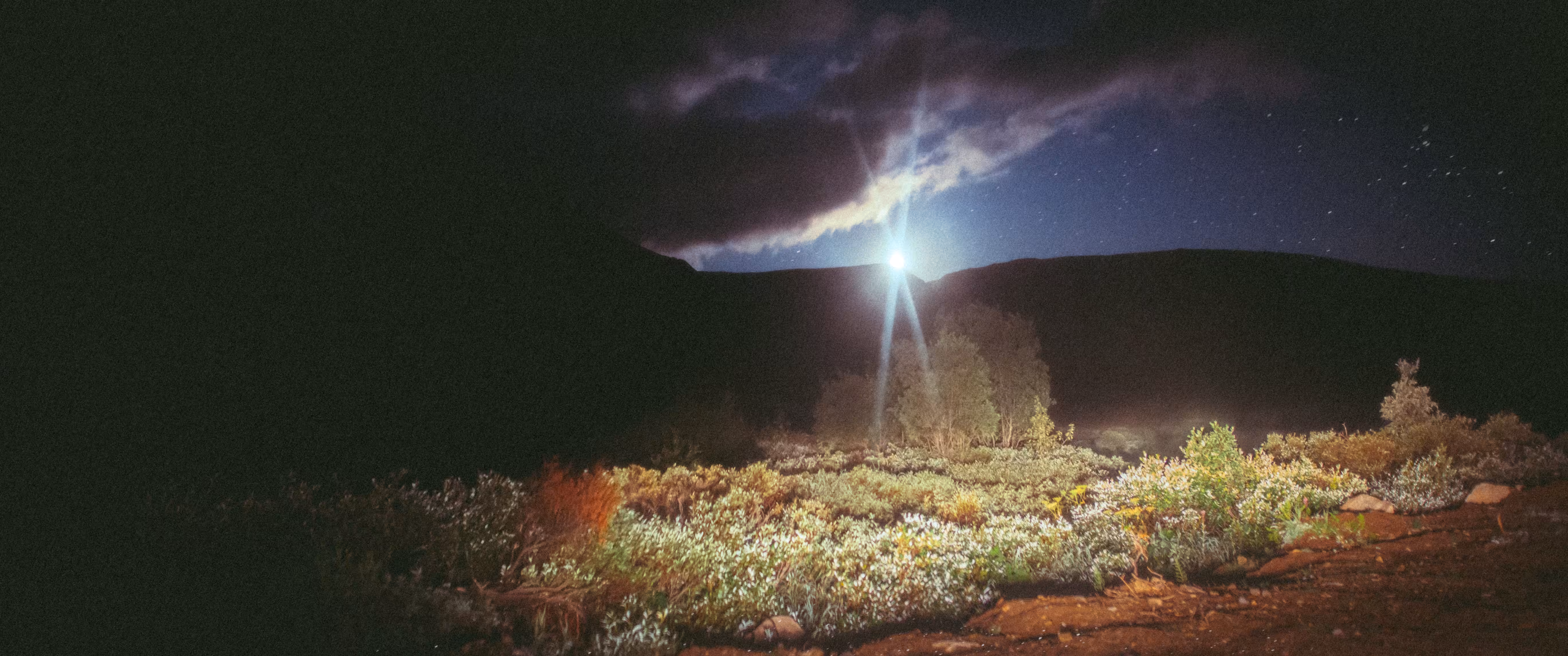 moonlit