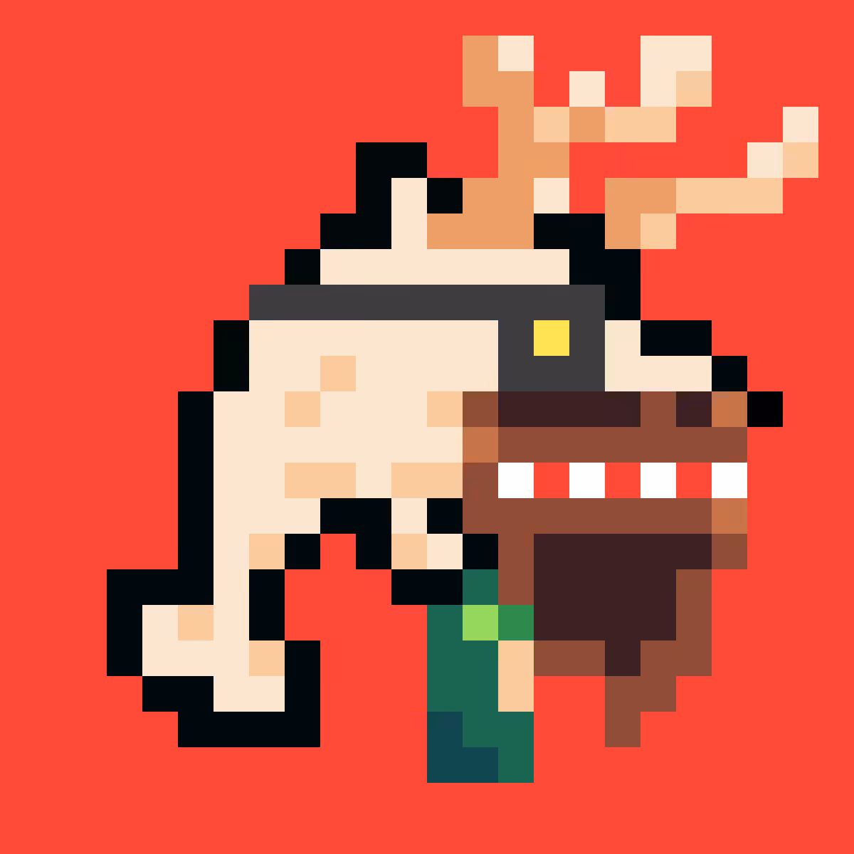 Laughin' Dolphin #031