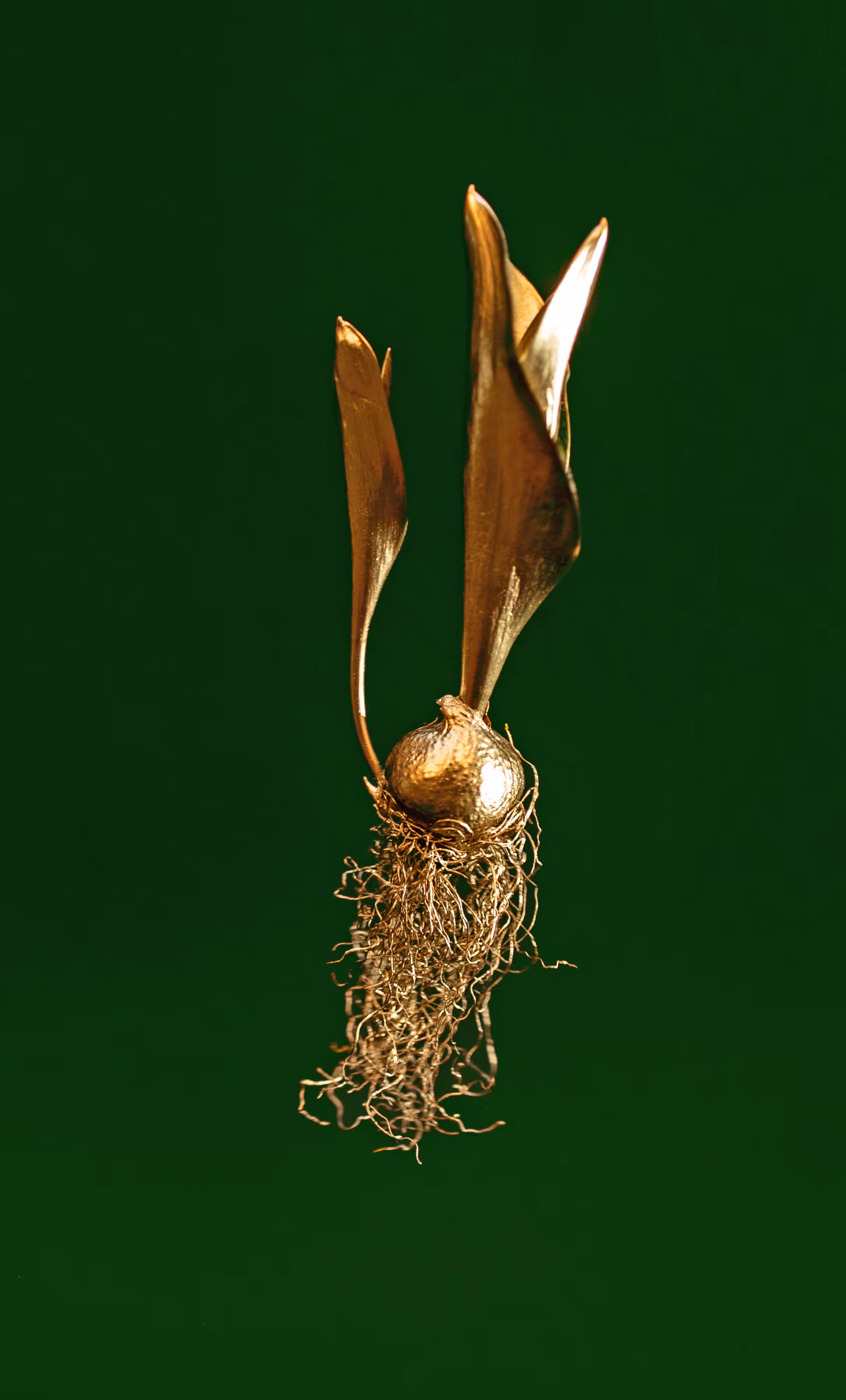 Crypto Tulip - #green1
