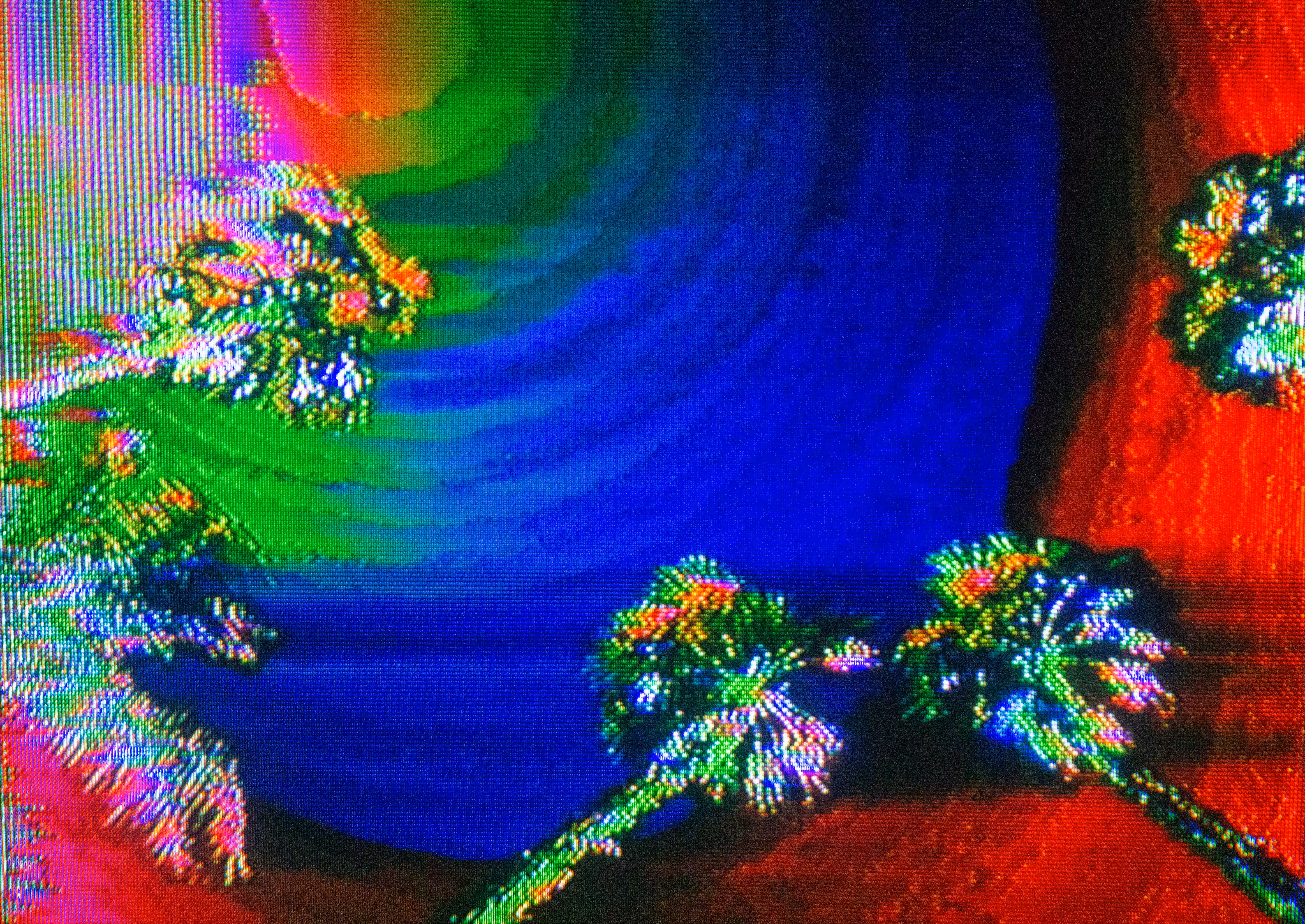 above the palm trees