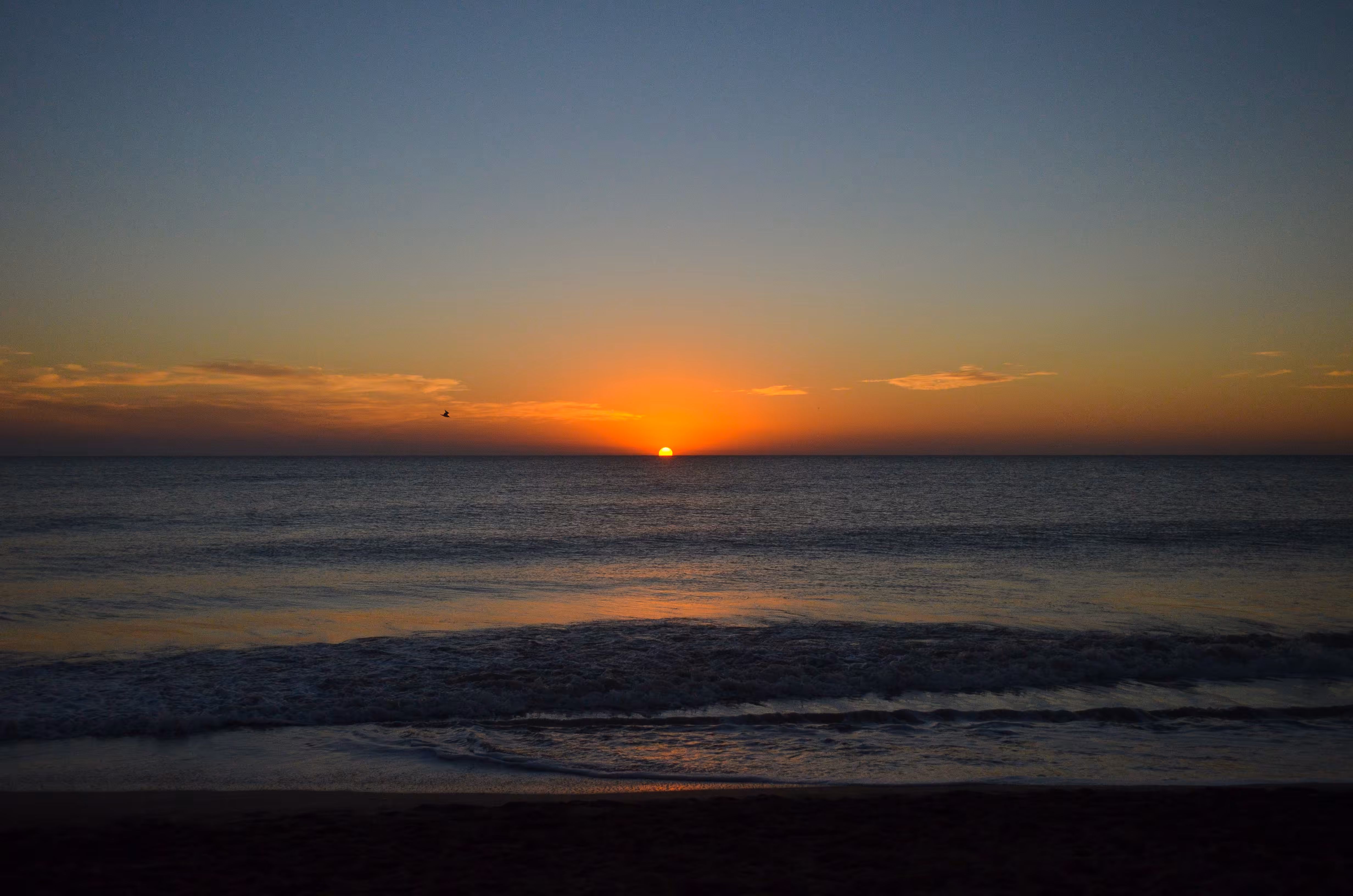 Con el Sol en el Ascendente. 