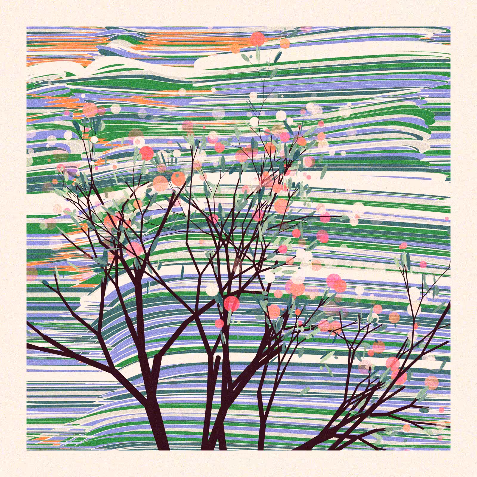 The Blossoms Behind the River